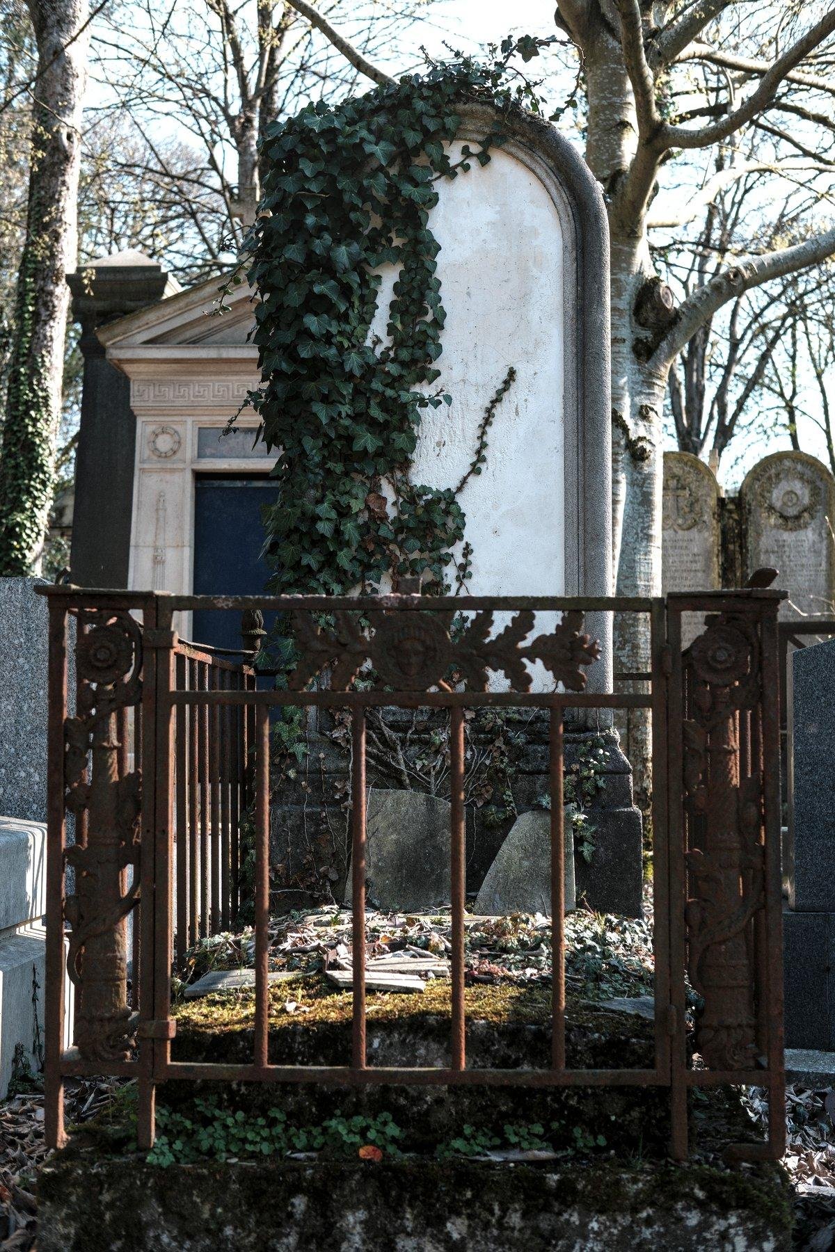 Photo verticale. Une tombe protégée par une barrière en fer rouillé, dont la stèle est à moitié recouverte de lierre