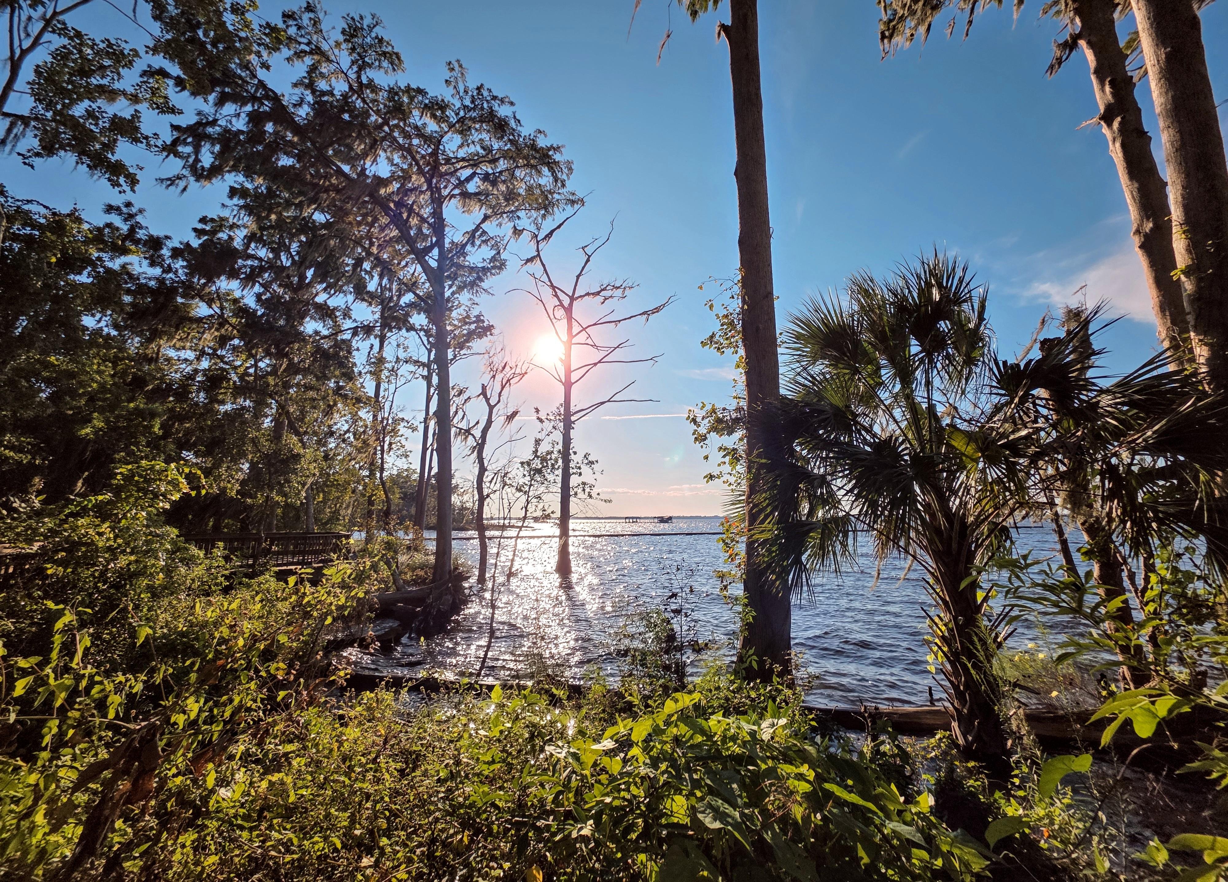 Trees and foliage in the foreground with sunlight filtering through, creating reflections on a body of water. A clear blue sky is visible, and the scene suggests a natural riverbank setting.
