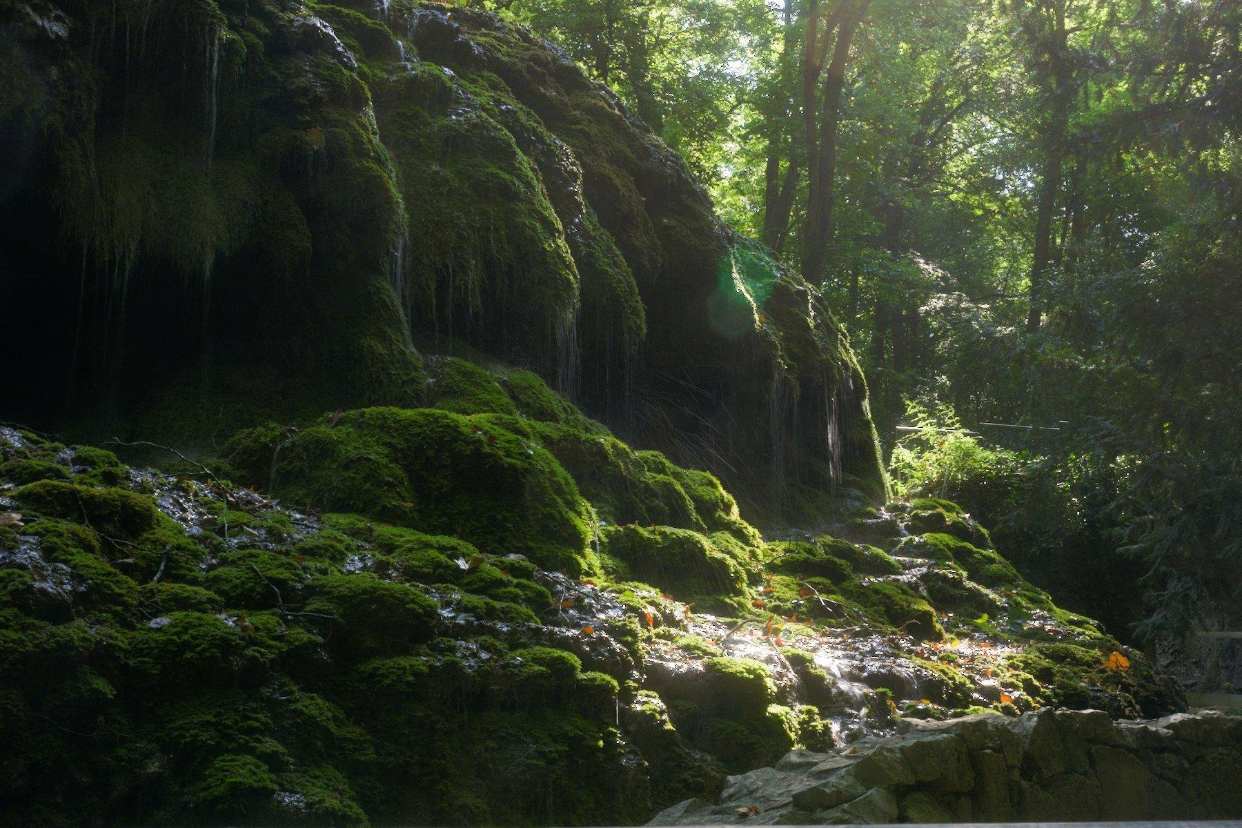 A cluster of rocks covered in green moss with water dripping all over it. Behind we can see some trees and a beam of light peeking through them