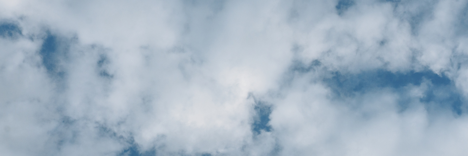 header profile
