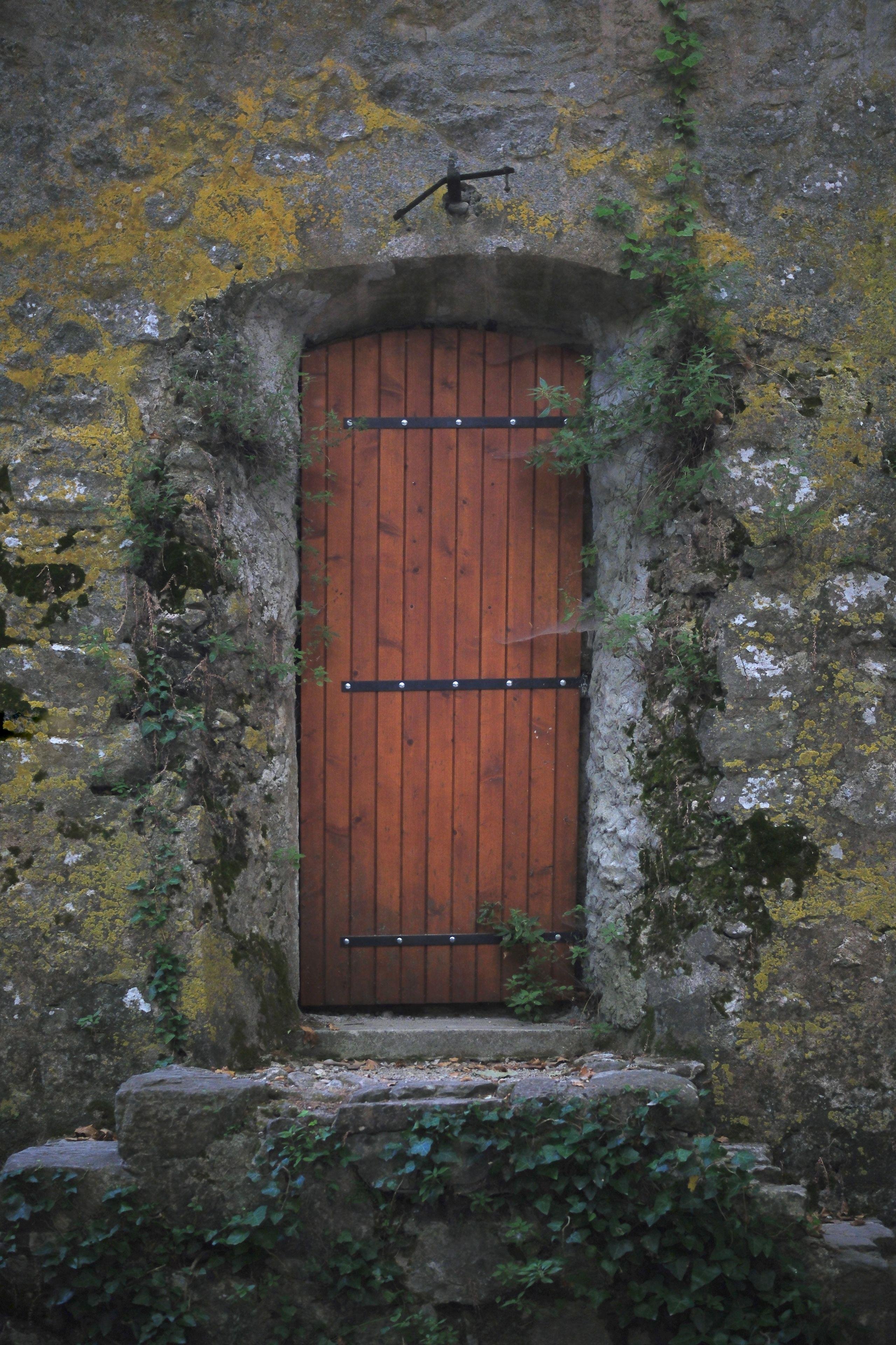 Une vieille porte dans un vieux mur de pierres, avec du lierre et de la mousse jaune, en haut d’une petite volée de 3 ou 4 marches de chaque côté