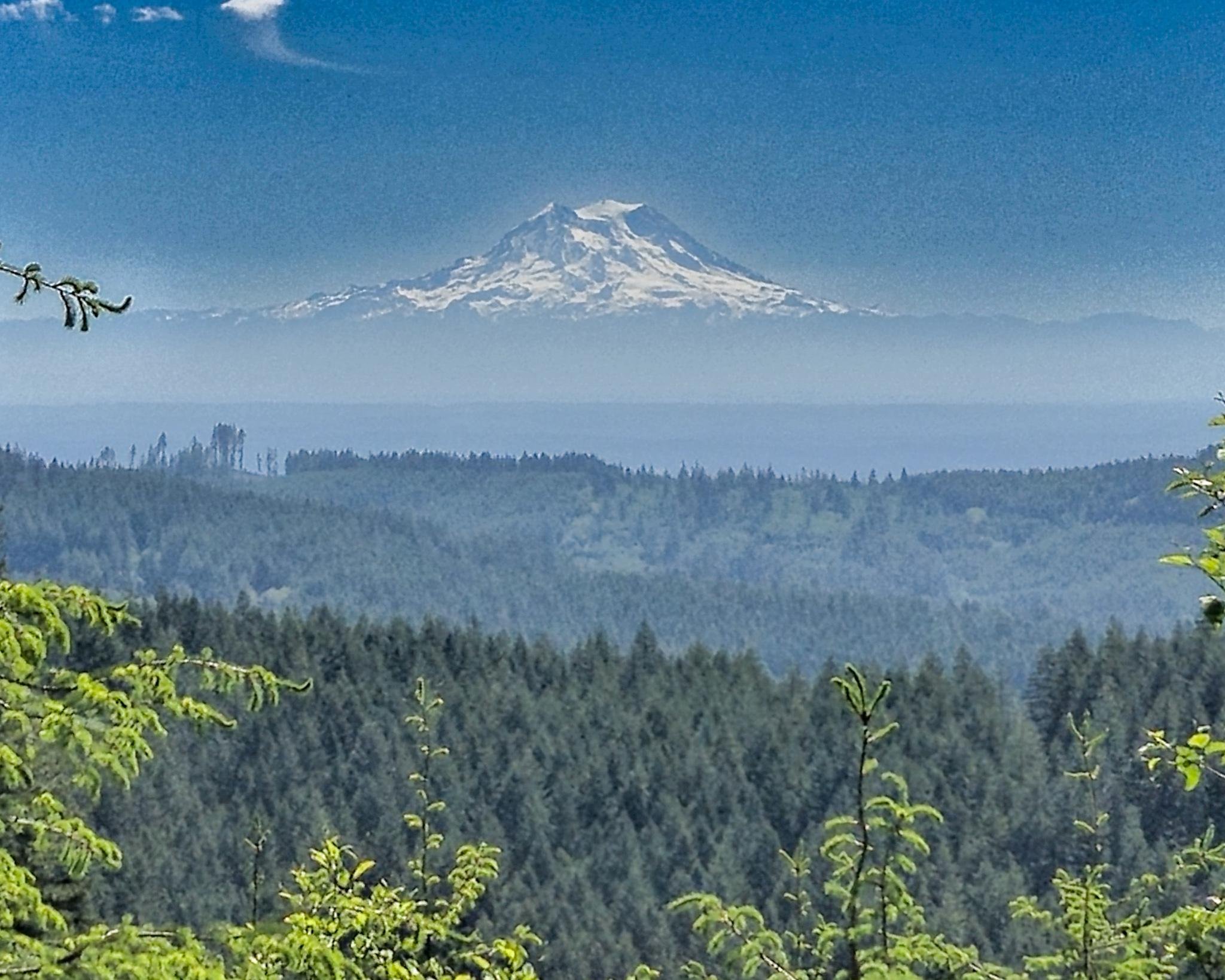 Snow-capped mountain peak under a clear blue sky, with layers of forested hills and lush green trees in the foreground.