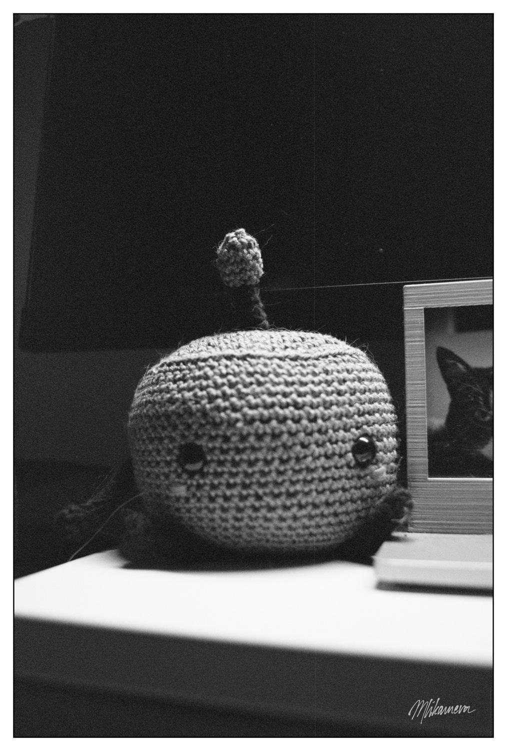 A monochrome photo of a crochet jumino on a table next to a photo of a cat. The background is dark. There is a noticeable scratch gong downwards.