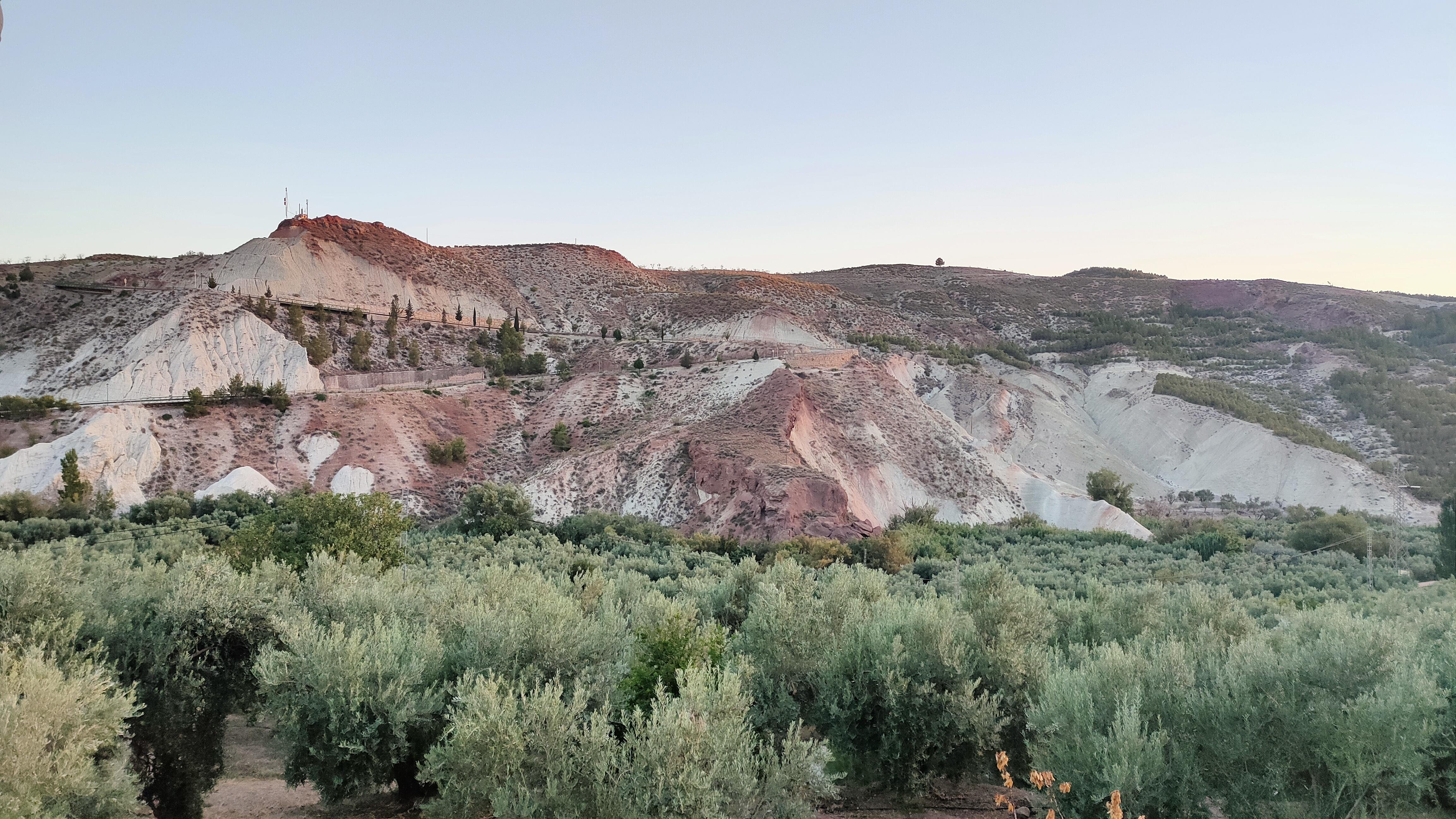 a landscape with rugged hills, featuring various shades of earth tones, including some white and reddish-brown areas. In the foreground, there is a dense area green olive trees. The overall setting is natural and peaceful, with a clear sky overhead.