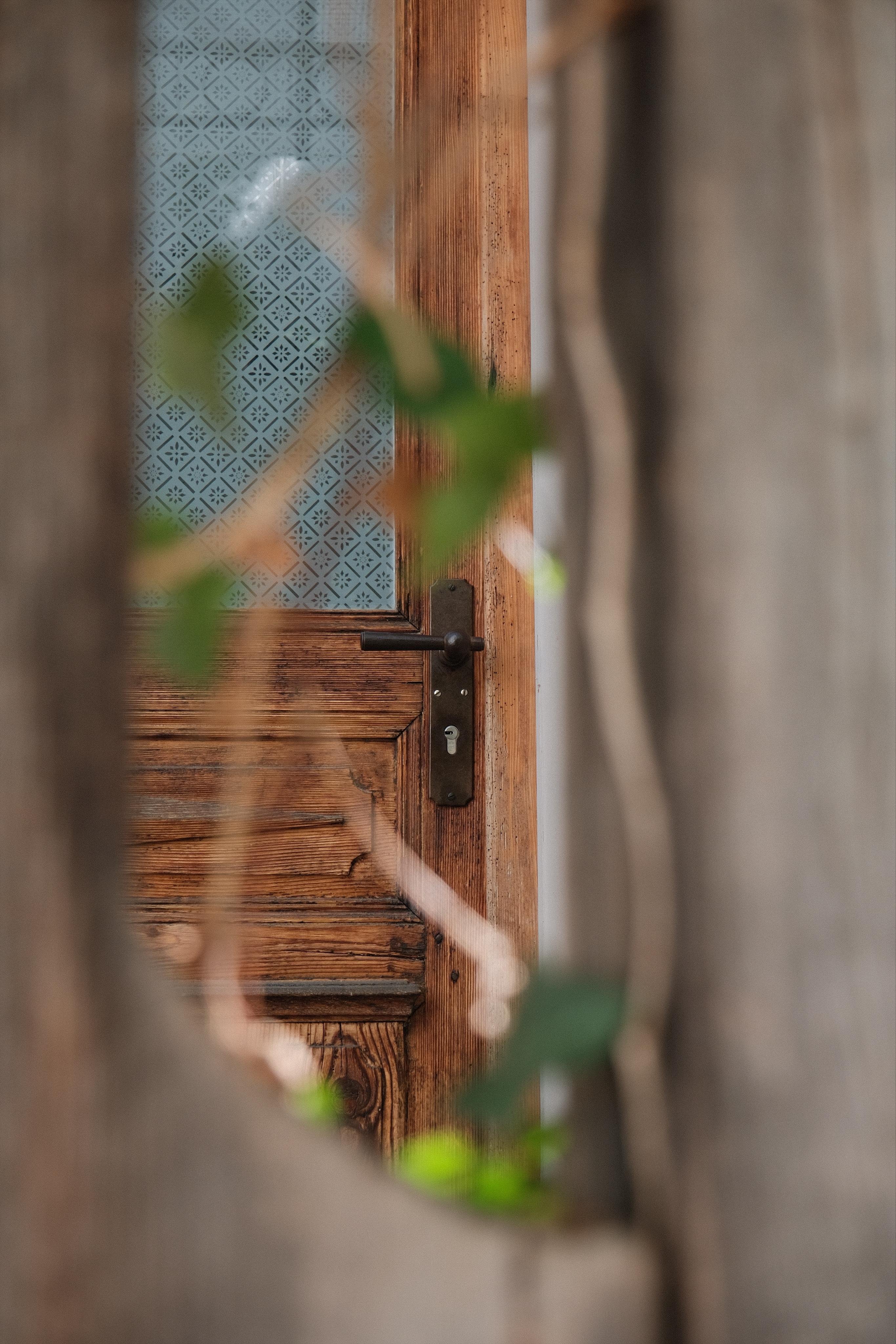 A wooden door with a black handle seen through a crack in a wooden fence with out of focus Ivy tendrils.