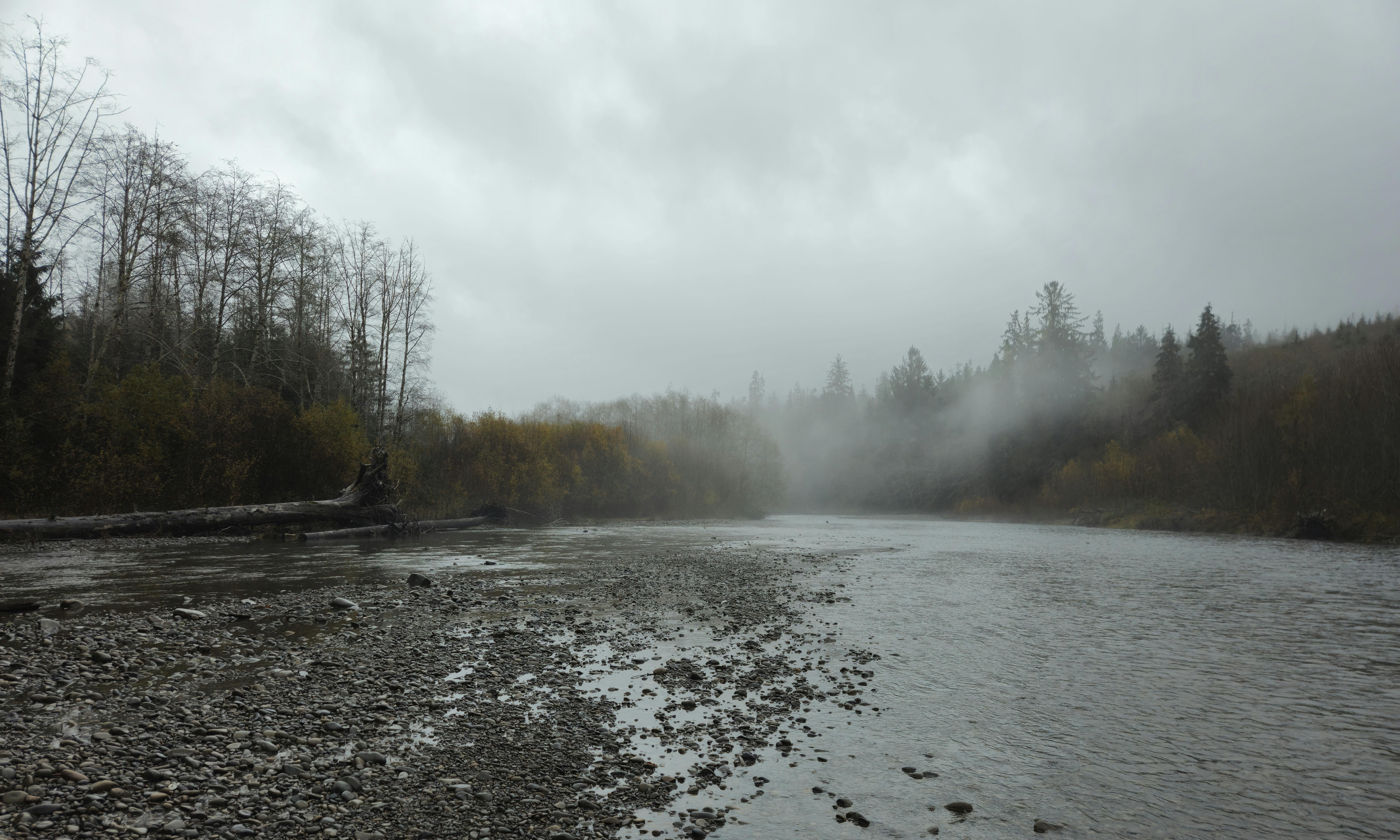 Wide, shallow river with a rocky shoreline in the foreground, bordered by leafless trees and dense forest; low fog drifts over the water beneath an overcast gray sky.