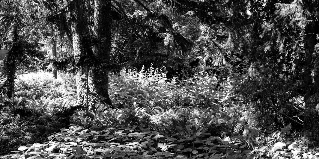 header profile