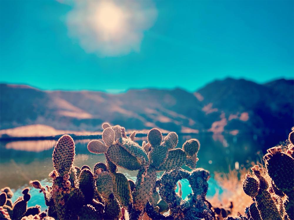 header profile