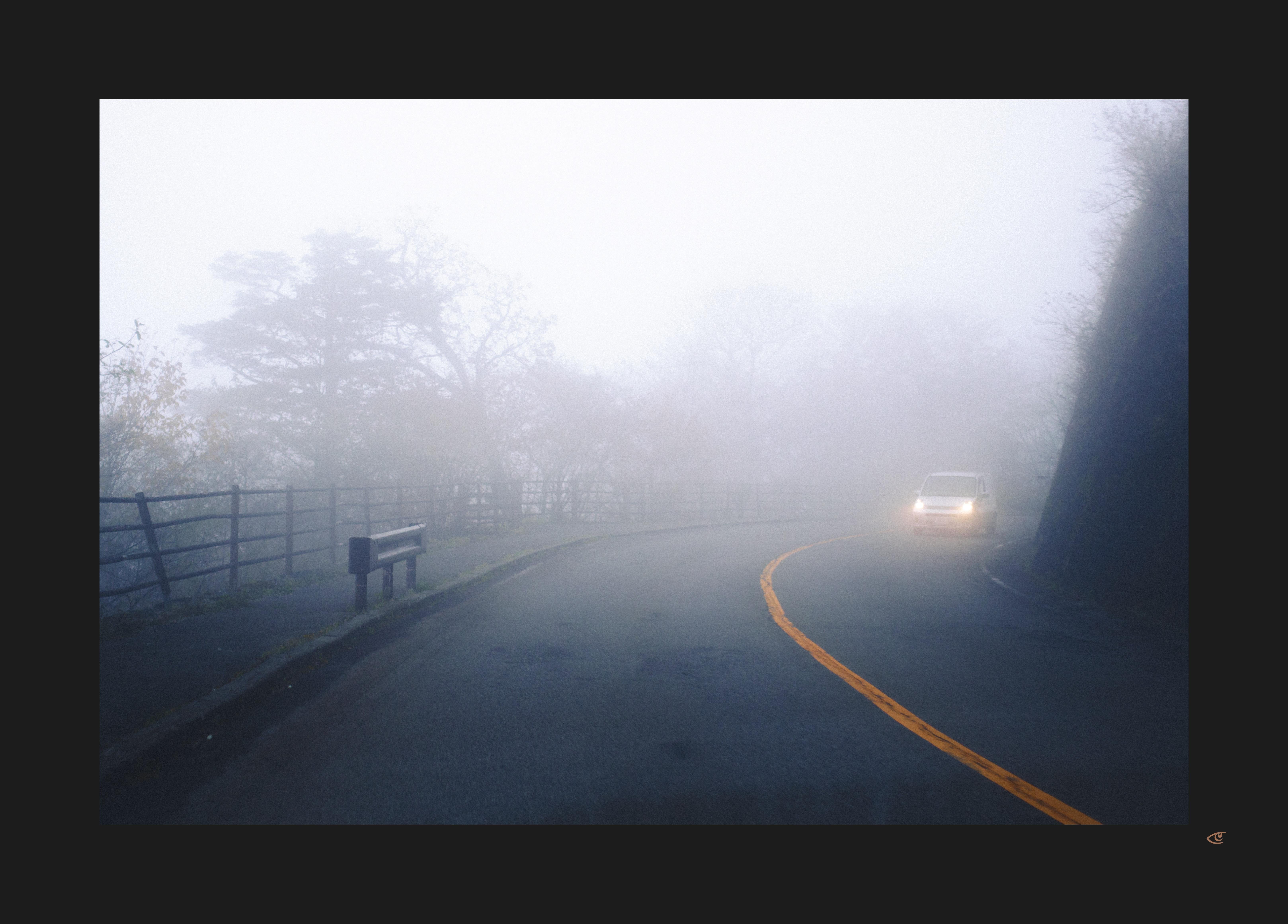Foggy curving two-lane road with a yellow centerline, metal guardrail and bench on the left, bare trees fading into mist, and a car with headlights on emerging around the bend on the right.