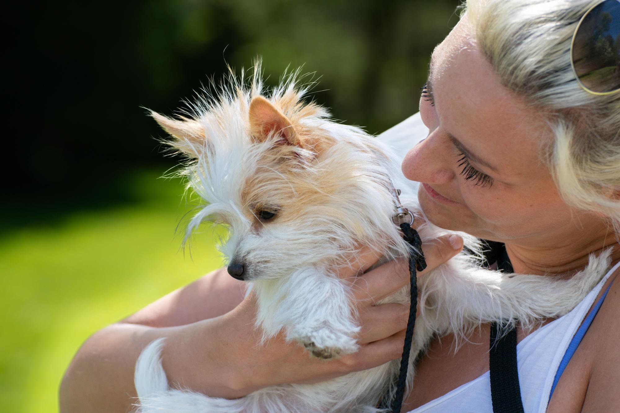 A portrait of a blonde woman, sunglasses on her head, in a summer dress. She's carrying a small furry dog in her arms.