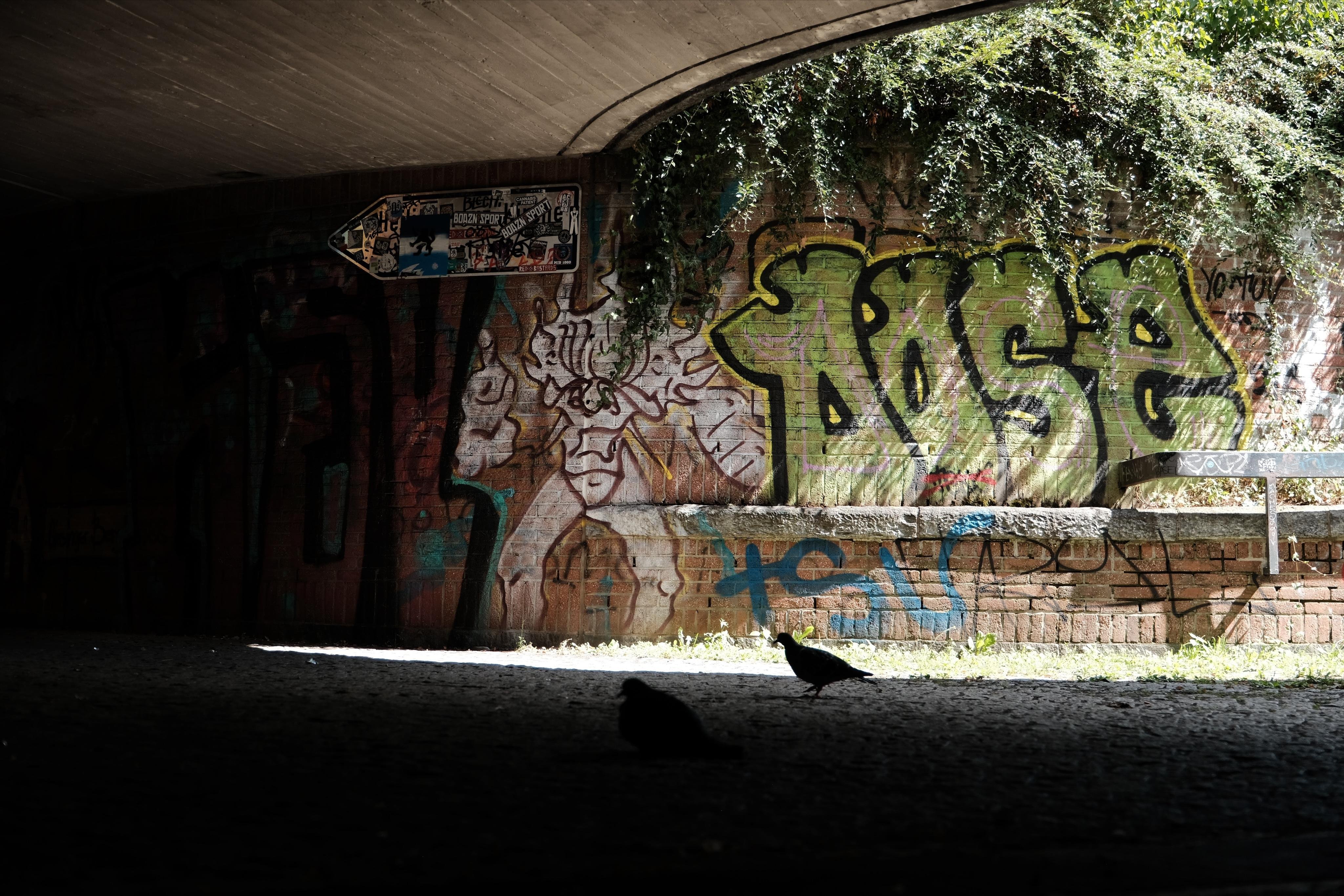 Graffiti-covered brick wall under a curved underpass, with sunlight illuminating the right side where plants hang above green graffiti lettering; two bird silhouettes stand on the shadowed ground in the foreground. A traffic sign, covered in stickers, points the left into the dark tunnel of the underpass.