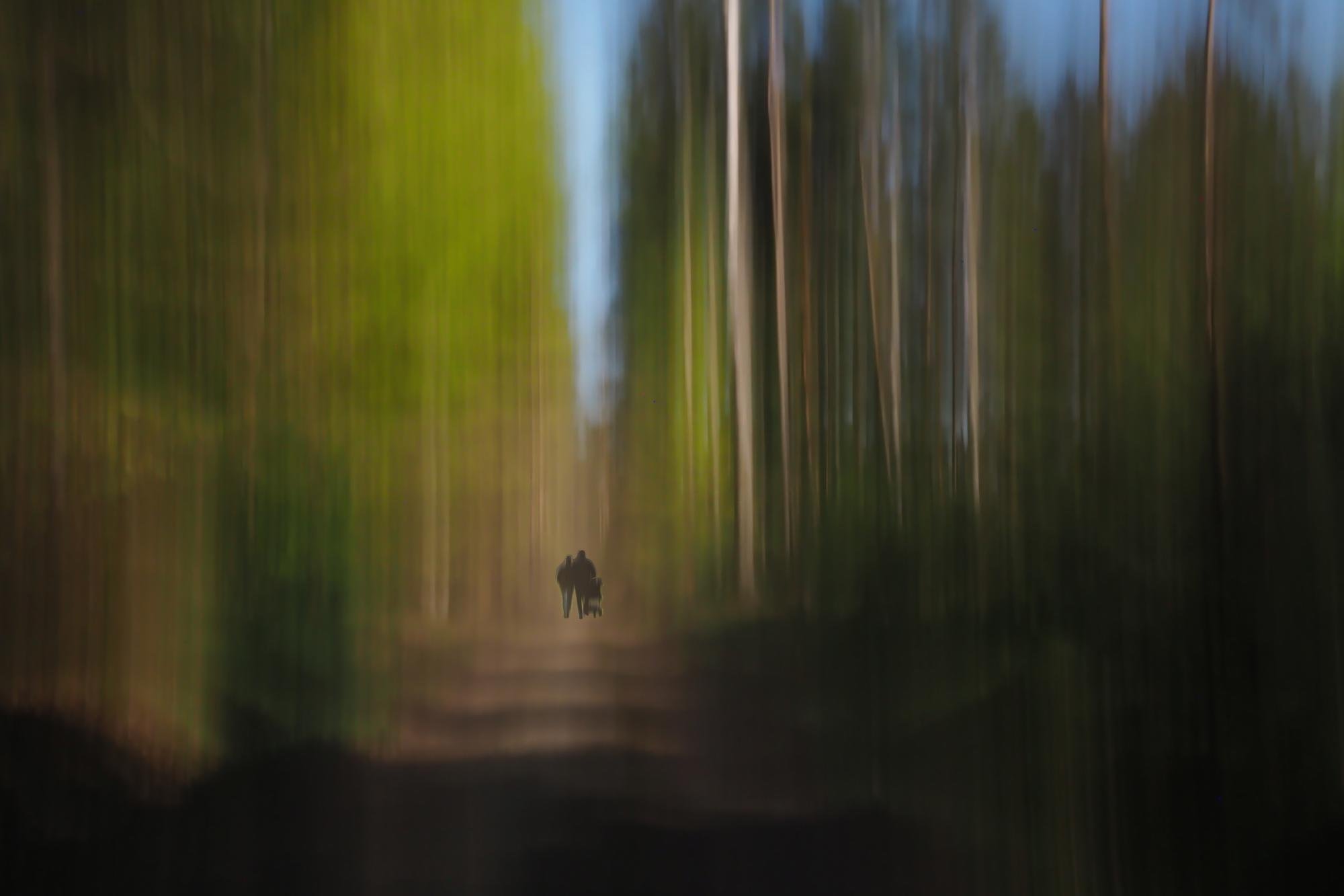Motion-blurred forest scene with tall tree trunks on both sides of a dirt path, and two small figures walking together in the distance near the center.