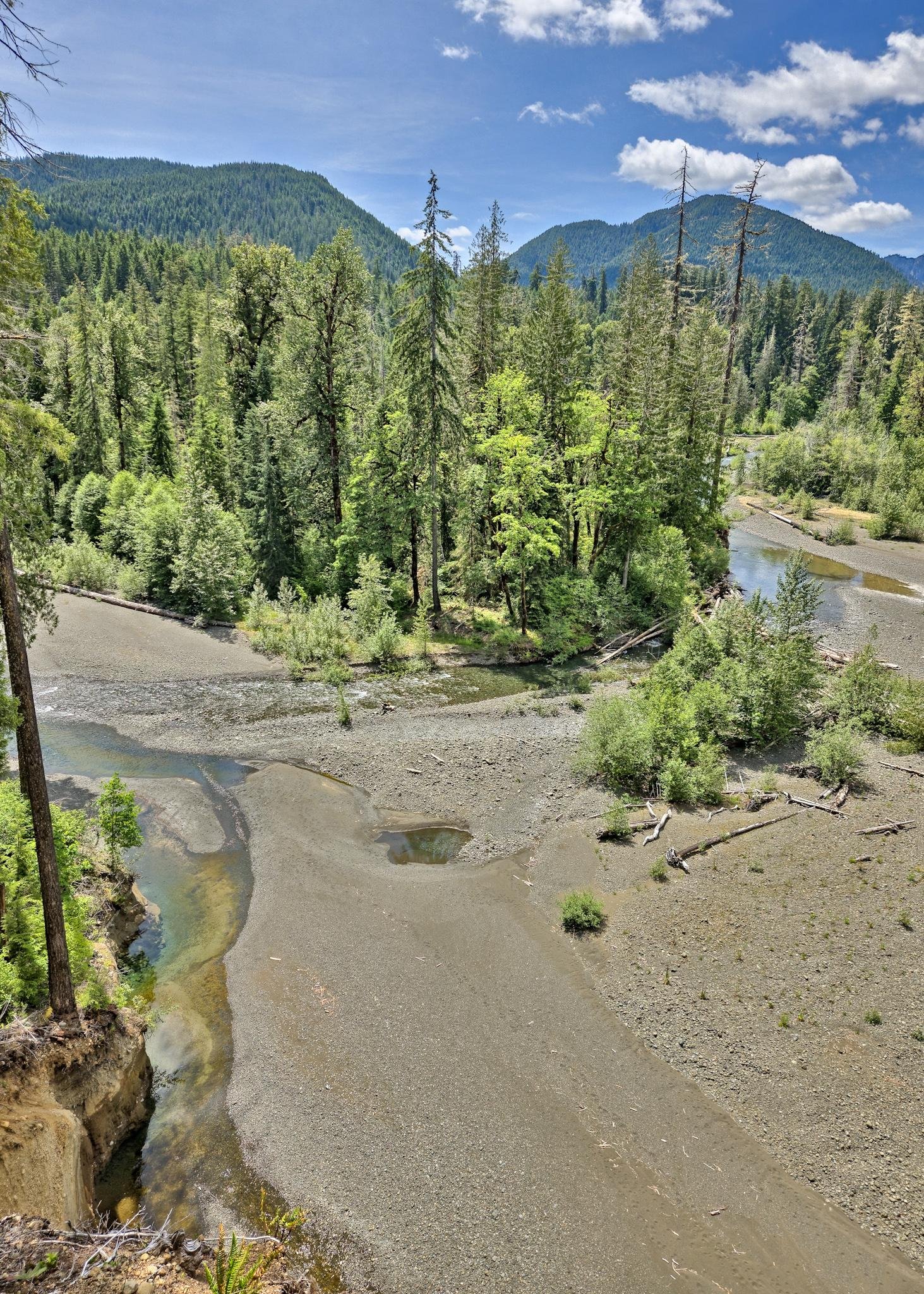 Forest landscape with a river meandering through a valley. Tall evergreen trees surround the river on both sides. Gravel and sandbanks are visible in the foreground, with some fallen logs nearby. In the distance, forested mountains rise under a partly cloudy blue sky.