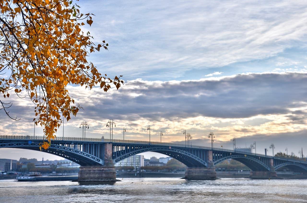 Autumn tree branches with orange leaves hang in the upper left foreground above a wide river, with a long arched steel bridge on stone piers spanning the water under a cloudy sky.
