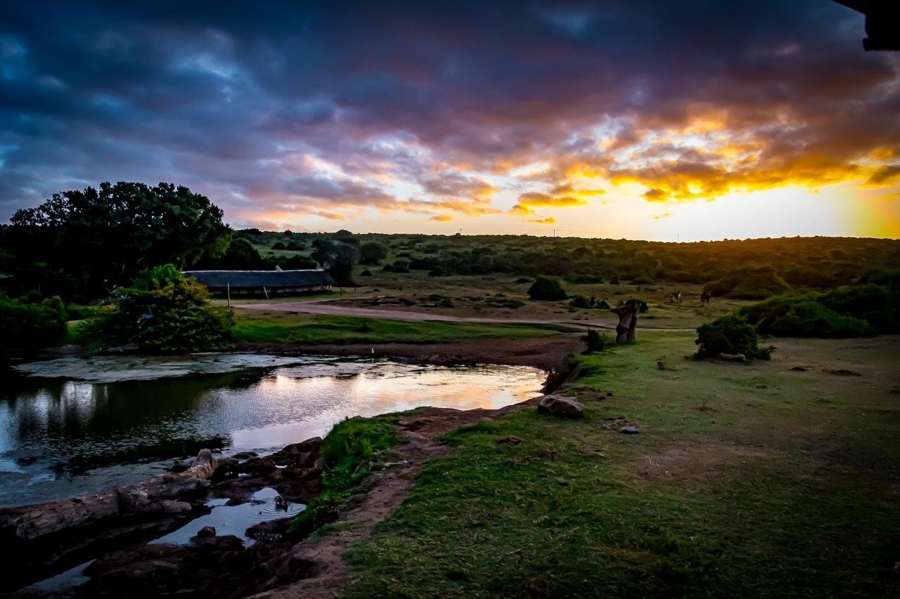 The image depicts a scenic landscape at sunset. The sky is filled with vibrant colors, transitioning from orange to blue. In the foreground, there’s a body of water reflecting the sky, surrounded by grassy terrain and scattered bushes. There are also silhouettes of animals at a distance on the plains. Trees and lush greenery are visible on the left, adding to the tranquil and natural atmosphere of the scene.