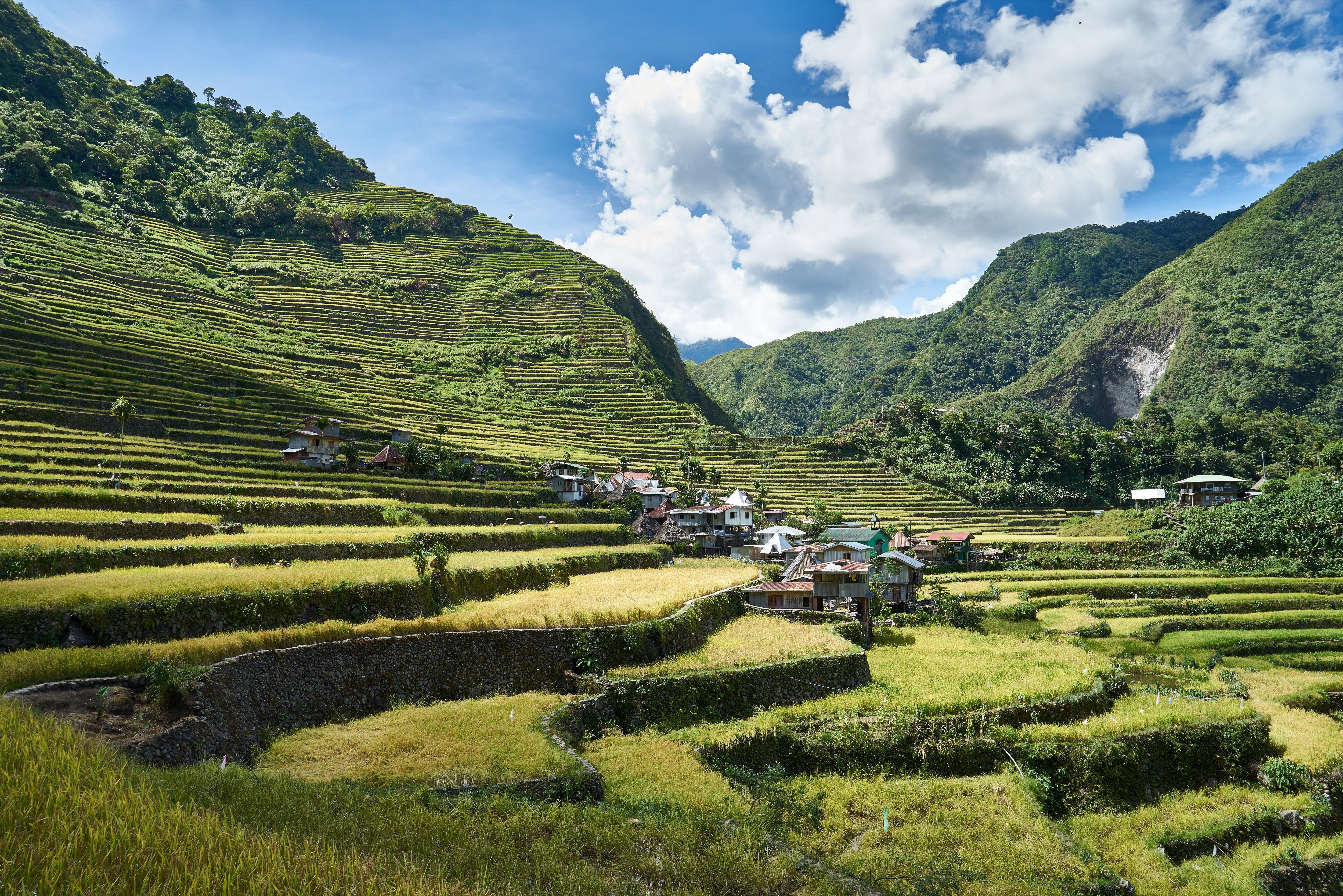 Terraced rice fields on green hills with a small village of clustered houses in the valley, surrounded by forested mountains under a blue sky with large white clouds.