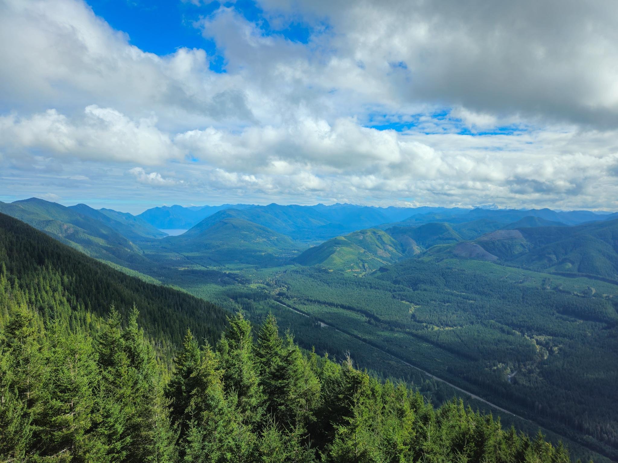 Wide view from a mountain overlook across forested valleys and layered blue-green mountain ridges, with evergreen treetops in the foreground and a partly cloudy sky overhead.