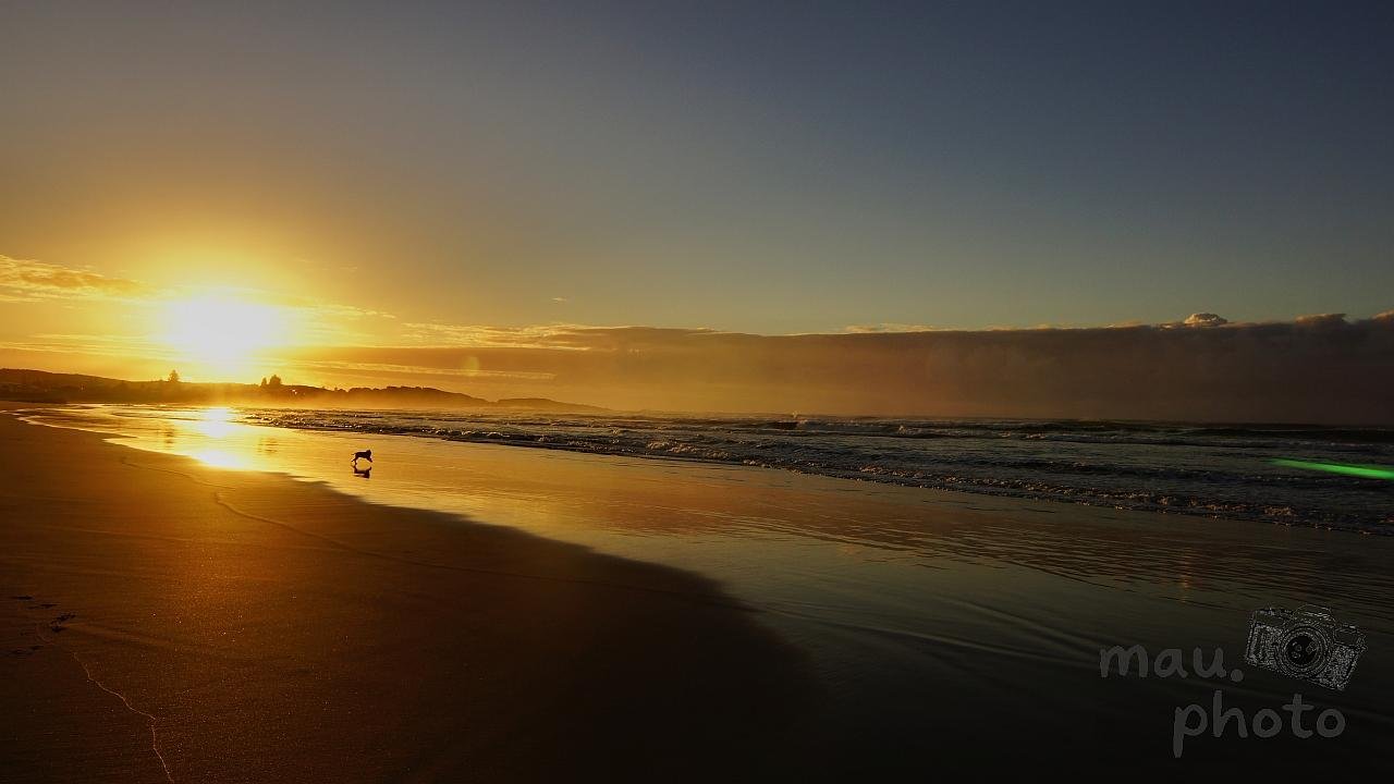 The image depicts a serene beach scene at sunset. The sun is low on the horizon, creating a warm glow and reflecting off the wet sand and water. There's a bird visible near the water's edge, and the sky is a mix of oranges and blues. The overall atmosphere is peaceful and calm.