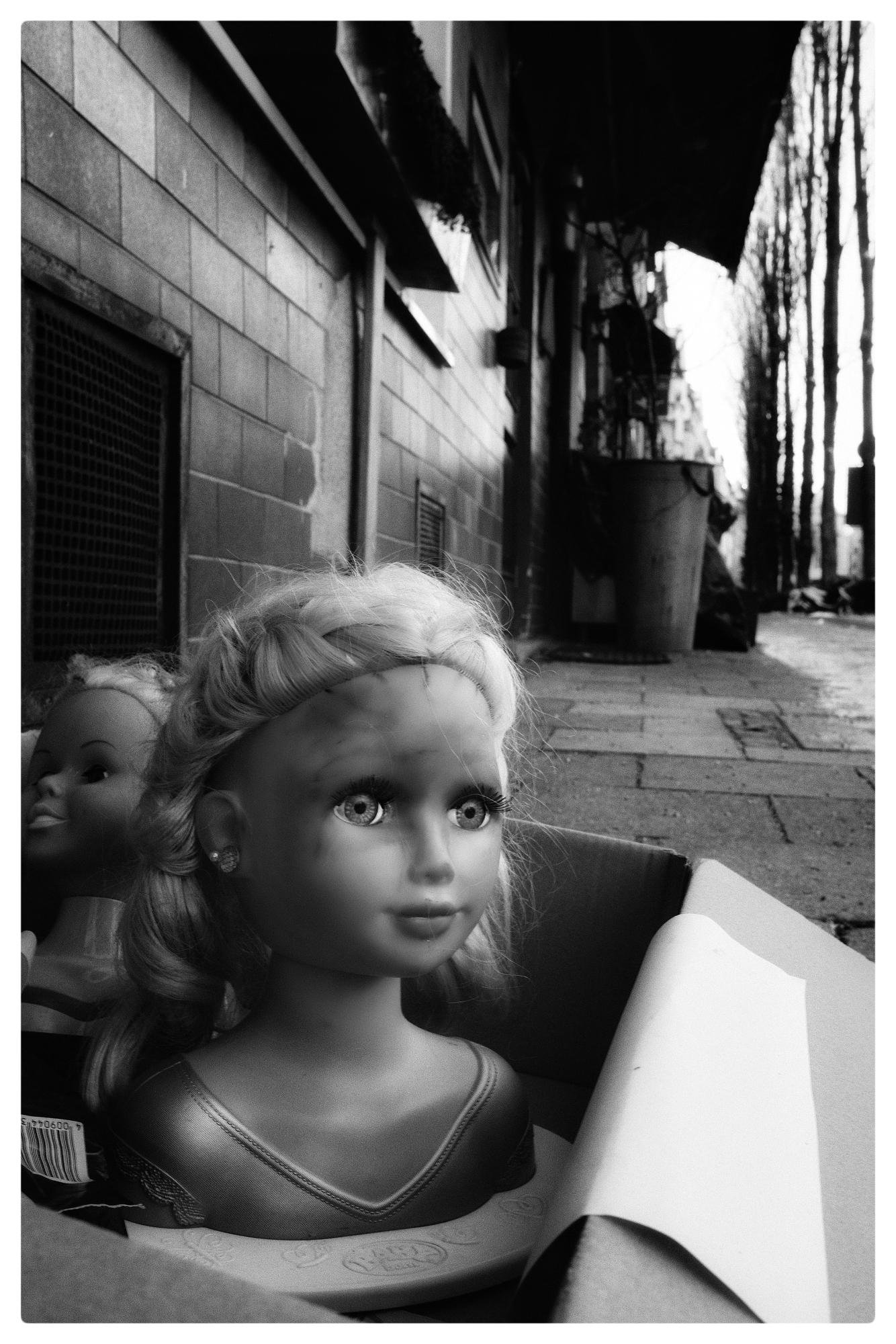 A black and white image depicts a doll's head with blonde hair and piercing eyes inside a cardboard box on a paved sidewalk. The left side shows a partial view of another doll’s head. The background includes a brick wall, a trash can, and a row of tall trees lining the street.
