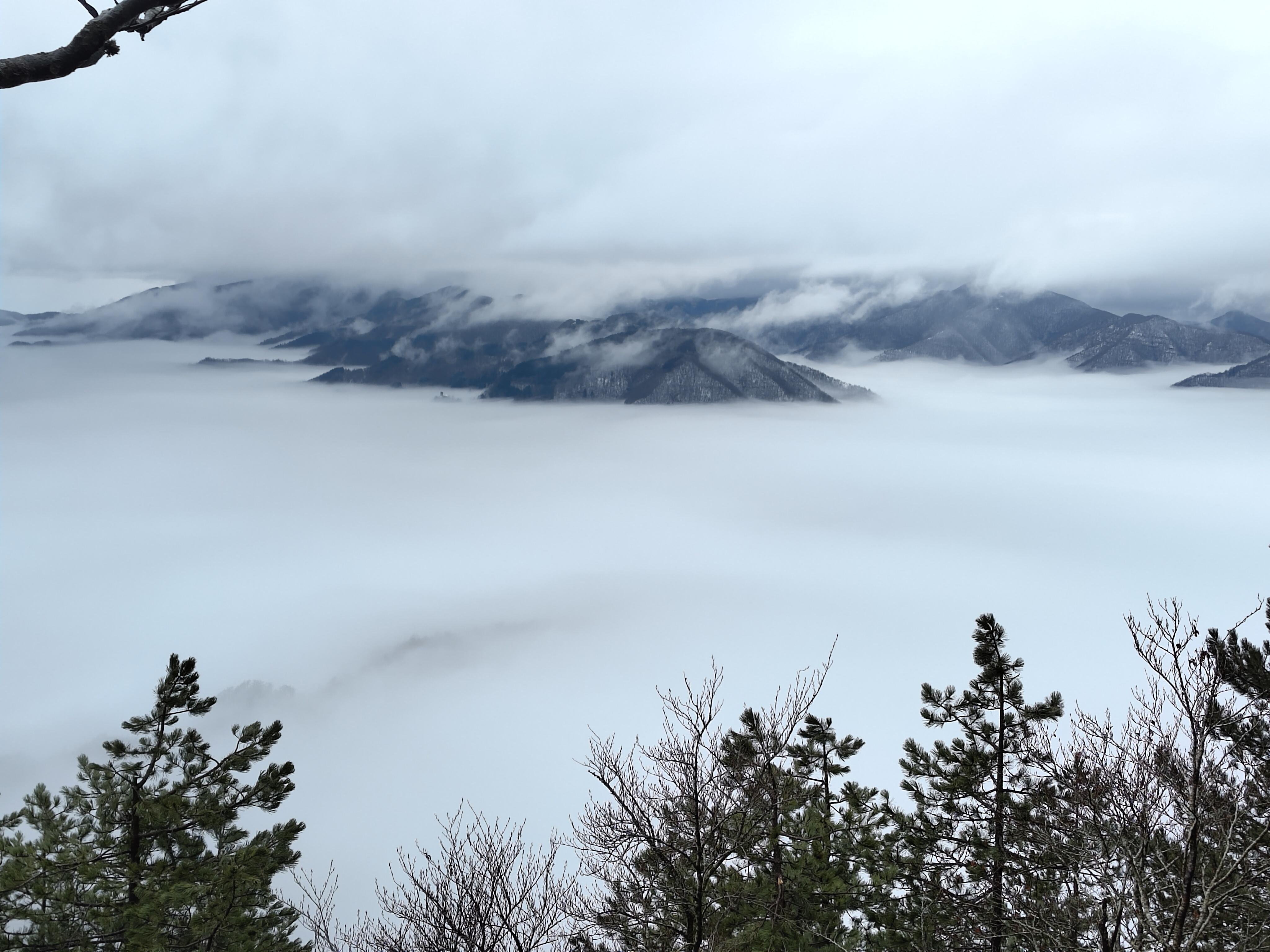 The image shows a scenic view of mountains partially covered by clouds or fog. In the foreground, there are trees with some branches visible, while the mountains in the background are shrouded in mist, creating a serene and atmospheric landscape.