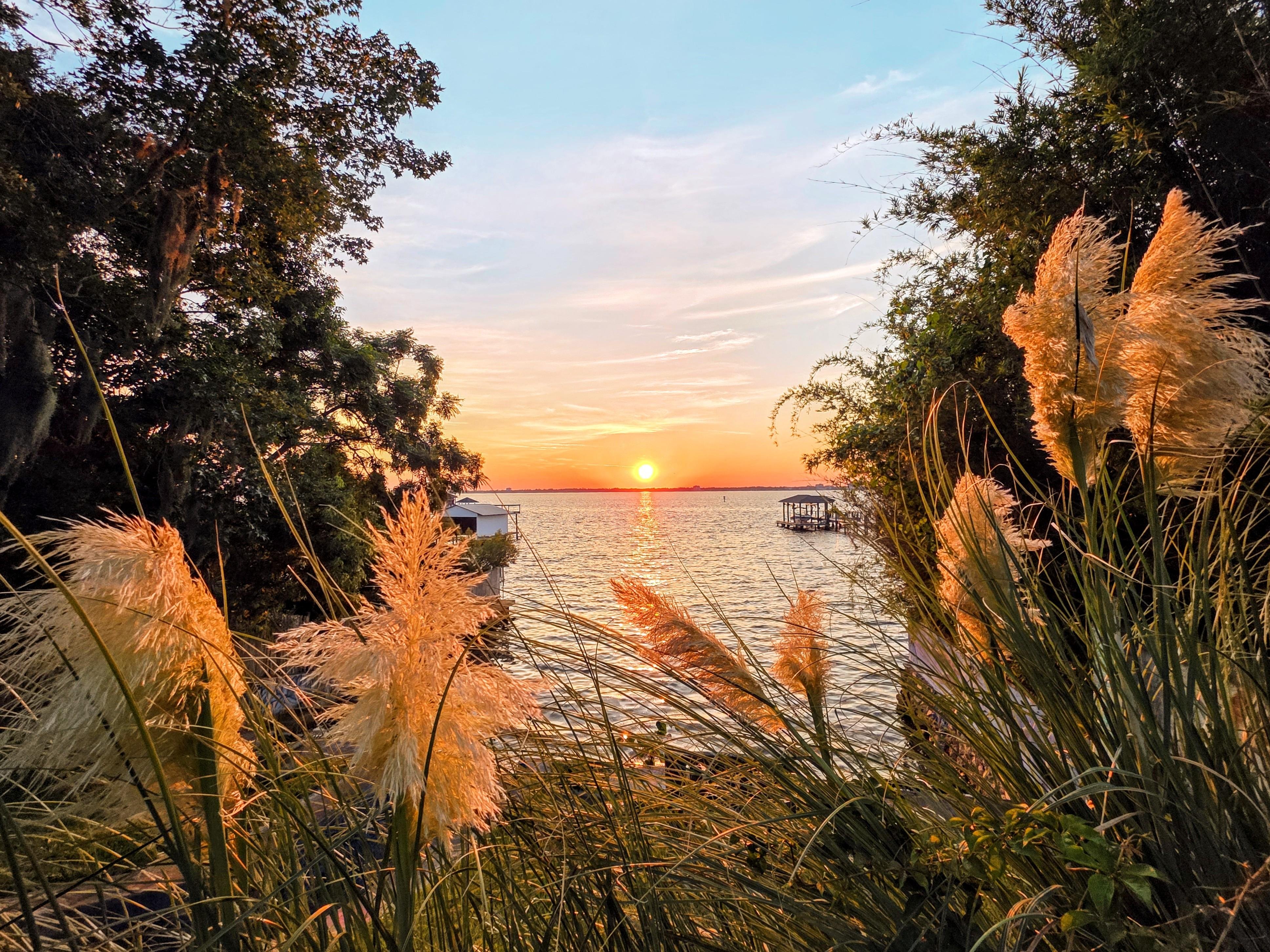 Sunset over a calm body of water with a pier extending from the right. Tall grasses and pampas plumes frame the foreground. Trees line both sides of the image, partially silhouetted against the colorful sky.