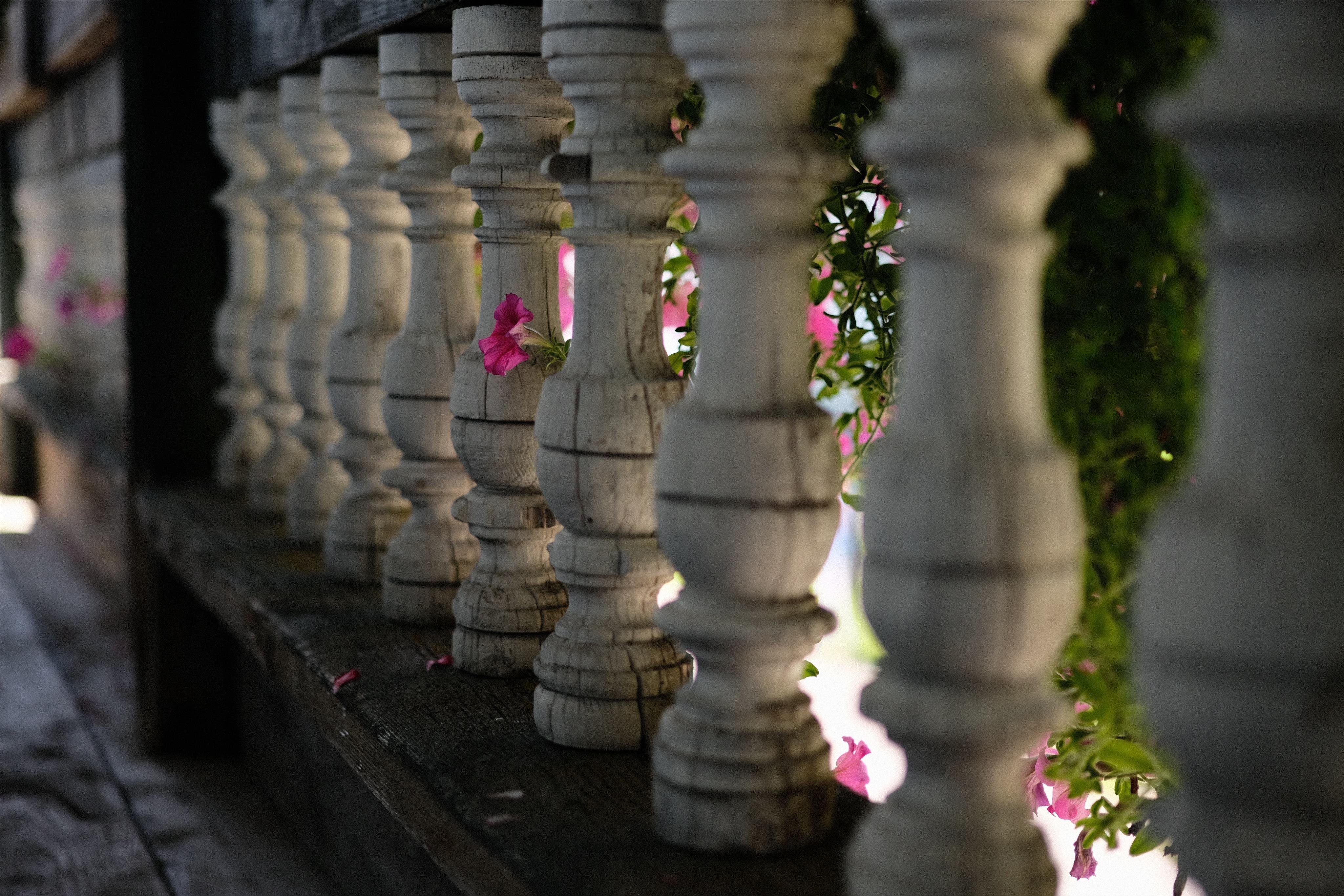 Side angle view of an ancient wooden balcony railing with white painted, weathered studs, seen from the balcony side. Mostly outside of the frame, on top of the railing there were multiple baskets with bright pink flowers, some of which hanging down outside of the railing but barely visible in this scene. One of those flowers bends inside through two studs and into the frame. The bright pink colour contrasting the otherwise white and dark grey colour of the studs and the wooden balcony floor.