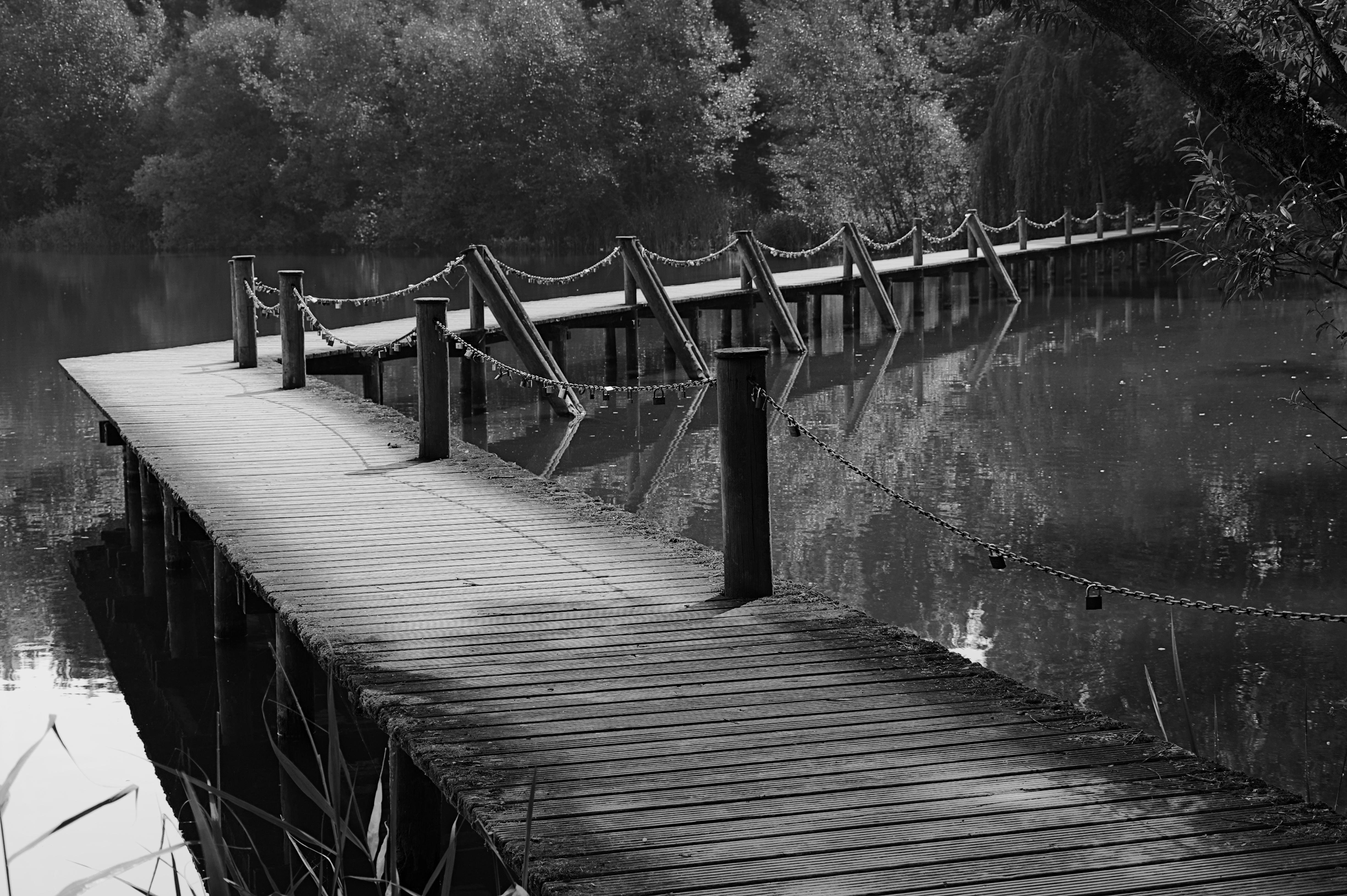 Wooden bridge spans across a tranquil body of water, with its reflection visible on the surface. Railings supported by posts and chains line the sides. Dense trees and foliage are present in the background, suggesting a natural, serene setting. Black and white tones emphasize the texture and contrast.