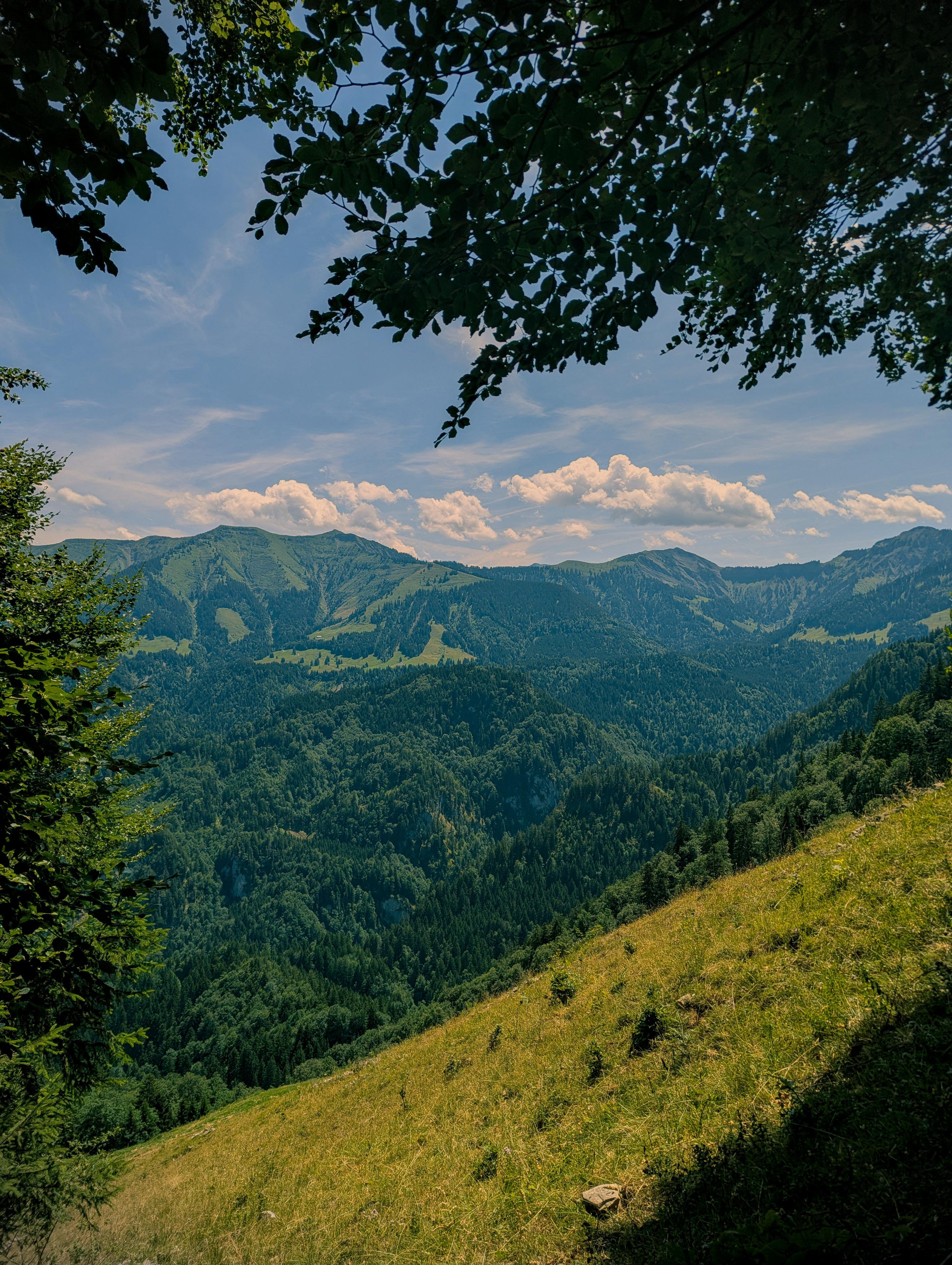 View from a grassy hillside over a dense, forested valley toward layered mountain ridges, with leafy tree branches framing the top and a blue sky with scattered clouds above.