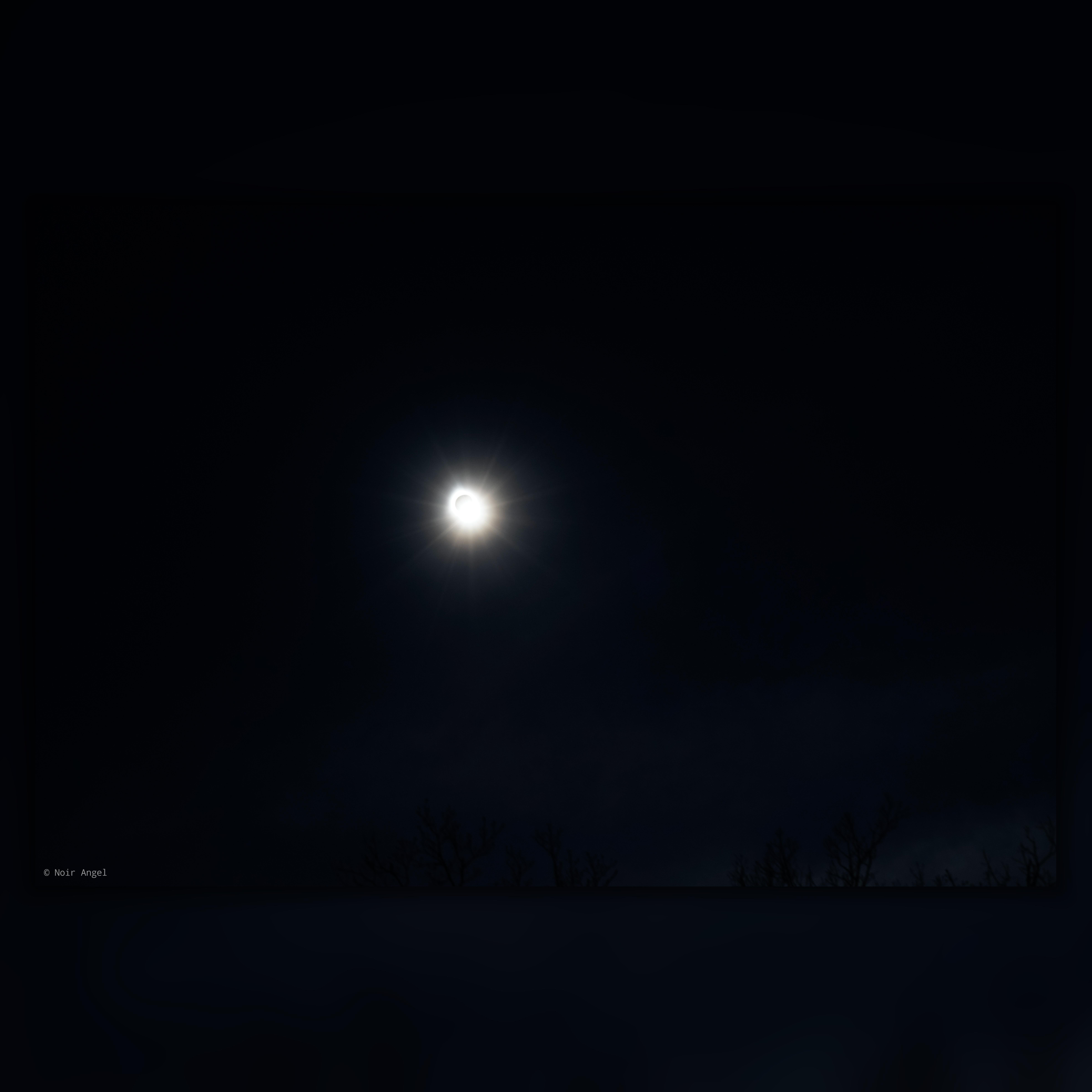 The image shows a dark sky with a partial solar eclipse.   The foreground has silhouettes of tree branches.