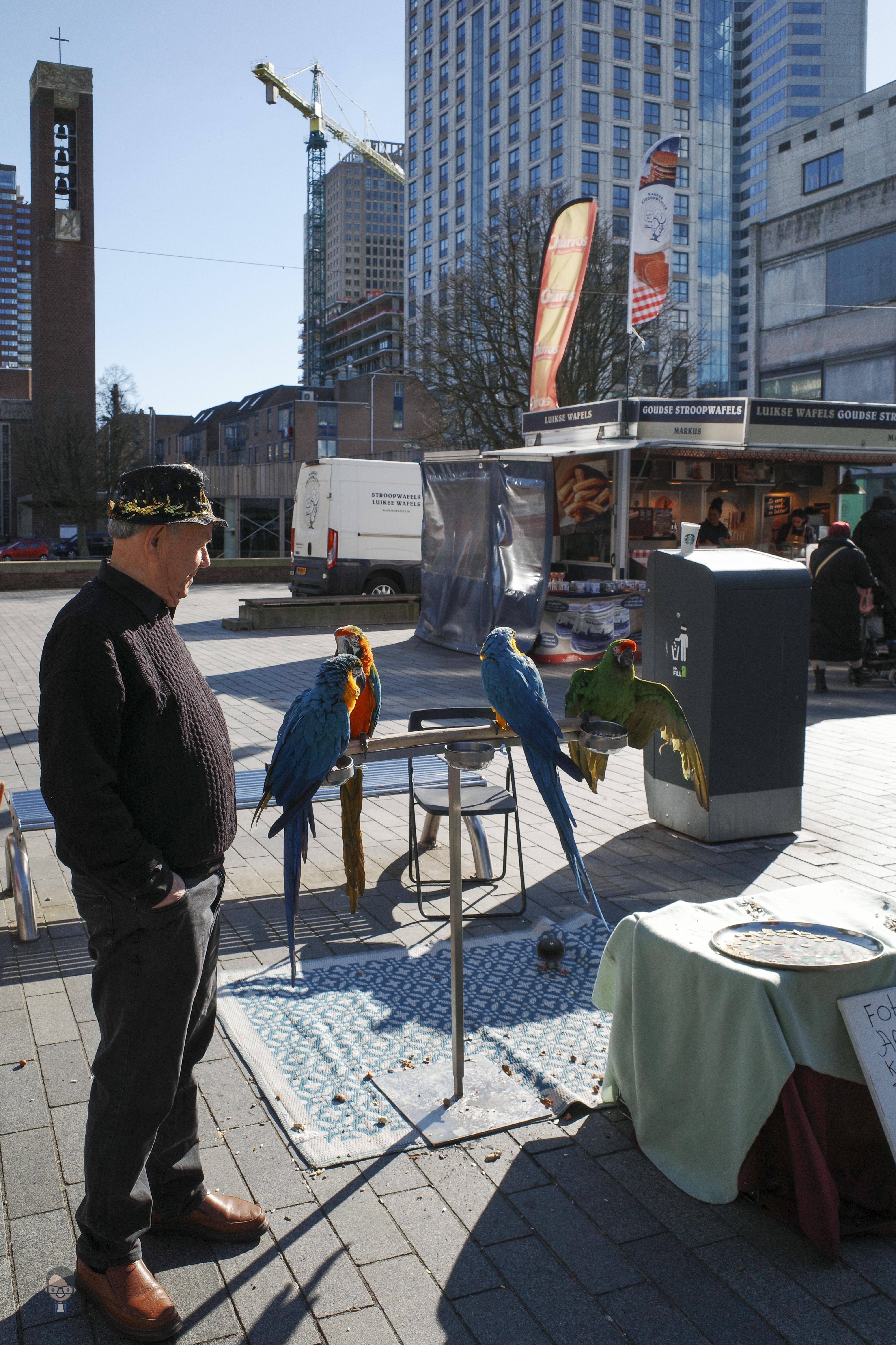 The image shows a street scene with a man standing next to several colorful parrots perched on a stand. There is a table with a sign to the side. In the background, there are buildings, a waffle stand, and a crane. The setting appears to be in an urban area.