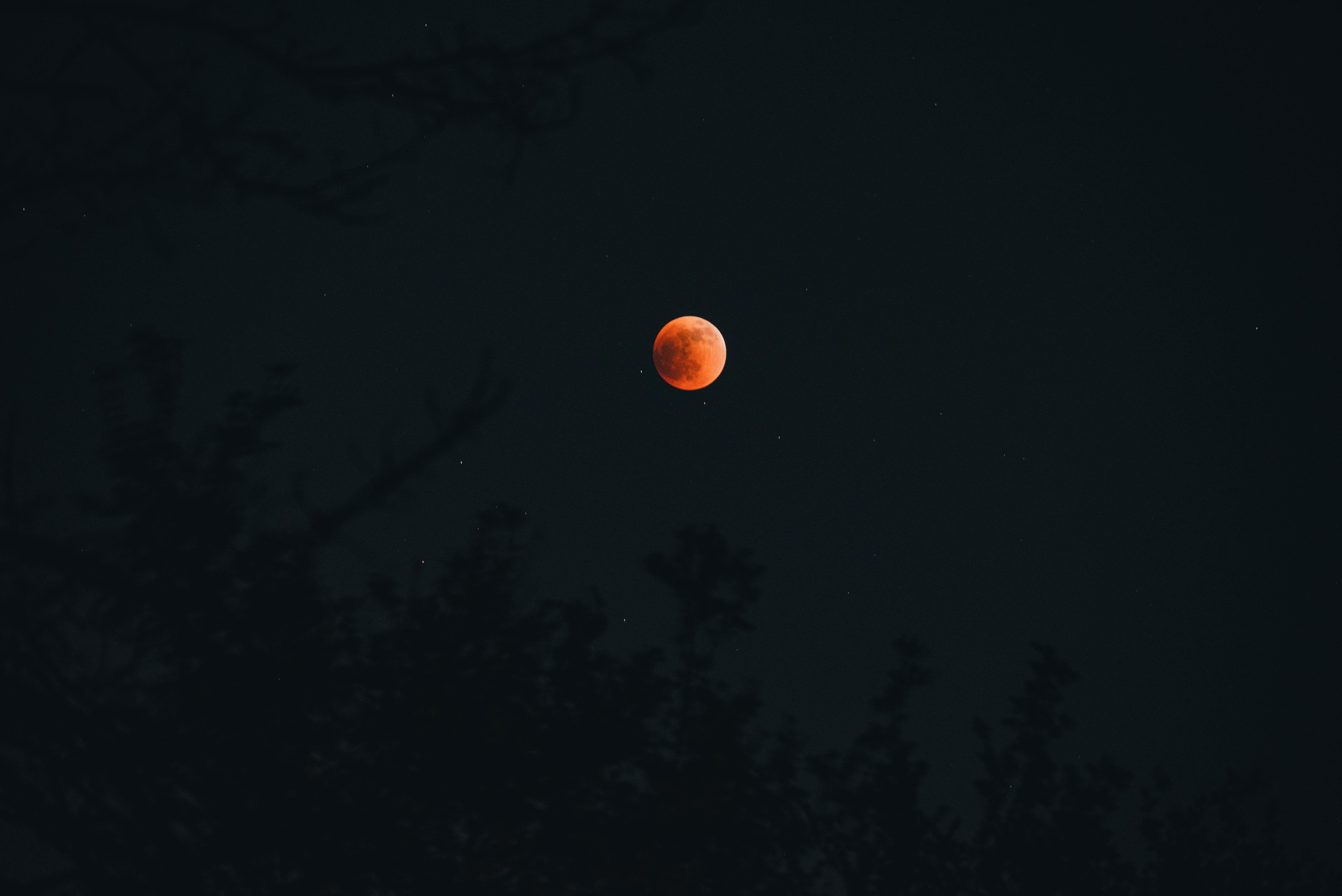 The image shows a red, eclipsed moon in the night sky. This phenomenon is also known as a "blood moon." The silhouette of tree branches is visible in the foreground.