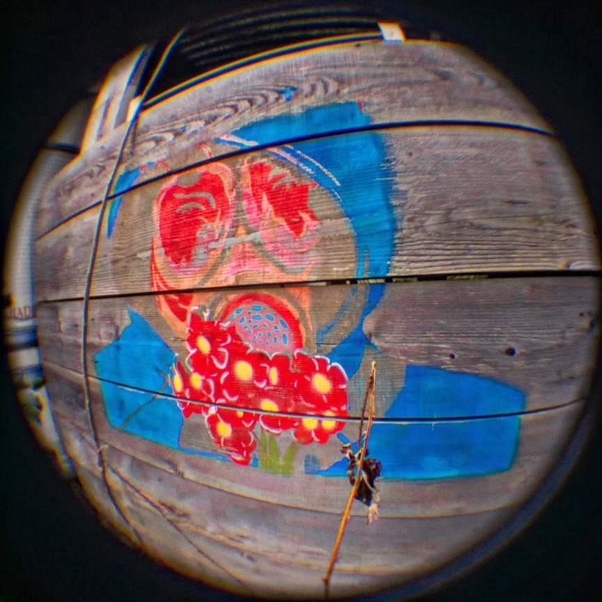 The image shows a piece of street art painted on a wooden surface. It depicts a person wearing a gas mask with flowers where the mouth filter would be. The artwork is vibrant, with reds, blues, and yellows, and it appears to have been captured through a fisheye lens, which gives a circular distortion to the image.