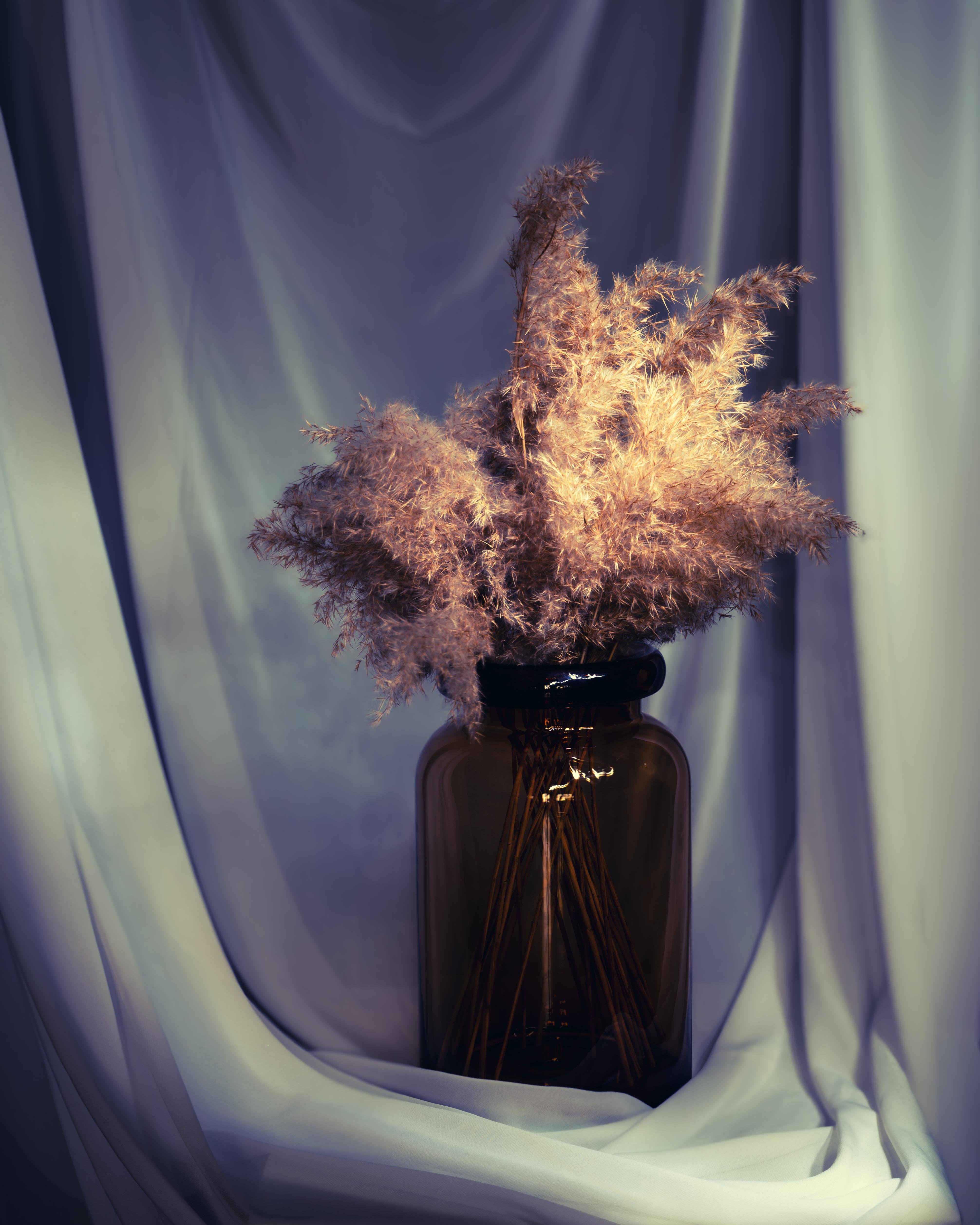 The image shows a rustic flower arrangement with dried plants, such as pampas grass, in a dark glass vase. The setting is draped with soft fabric in the background, creating a moody and artistic atmosphere.