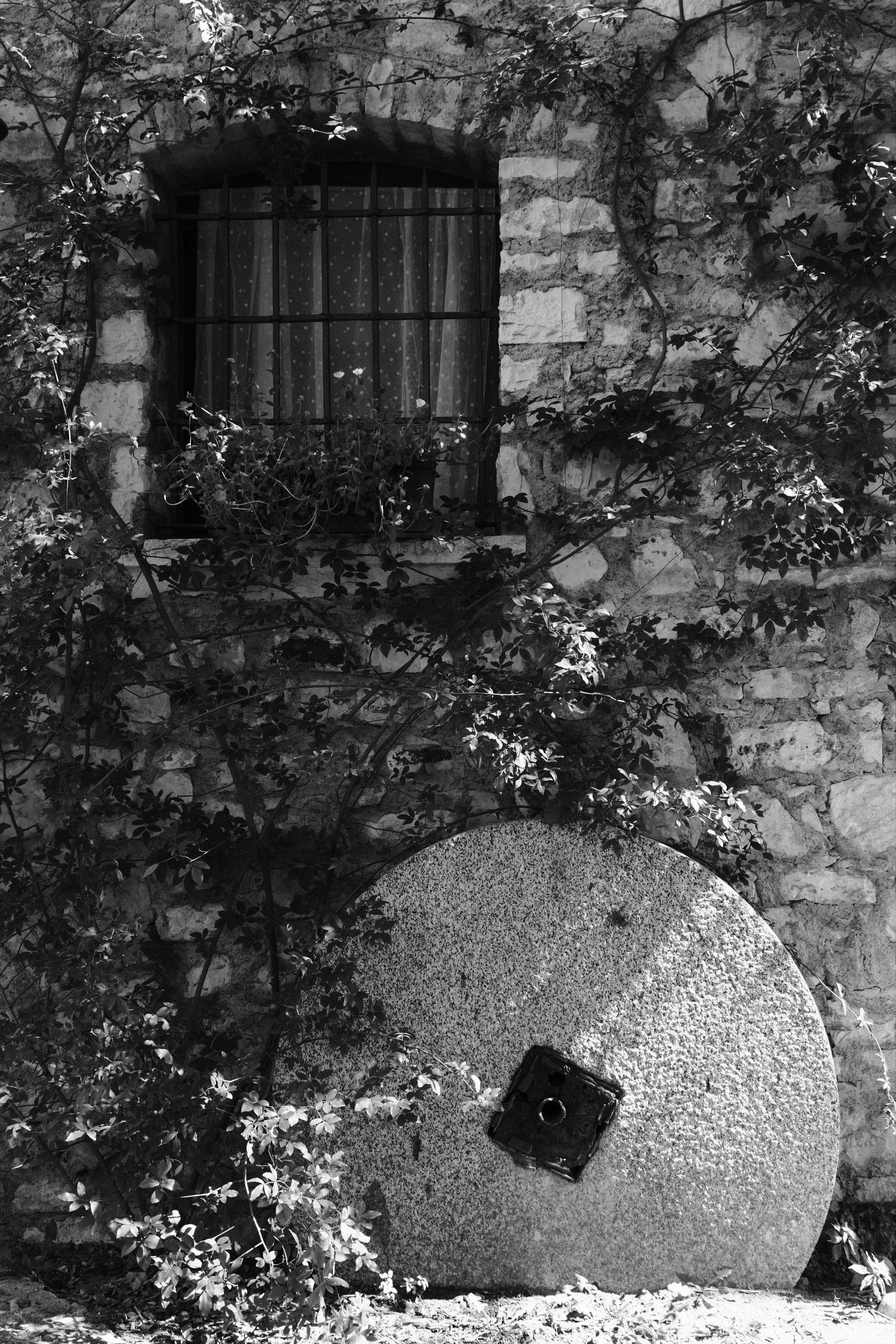 Monochrome picture. A stone wall with a window with old iron bars protecting it in the upper left and a millstone leaned against the wall in the lower right. Cute dotted curtains shade the window from the inside. A climbing plant grows across the wall and around the window and millstone.