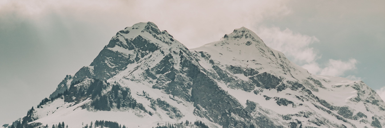 header profile
