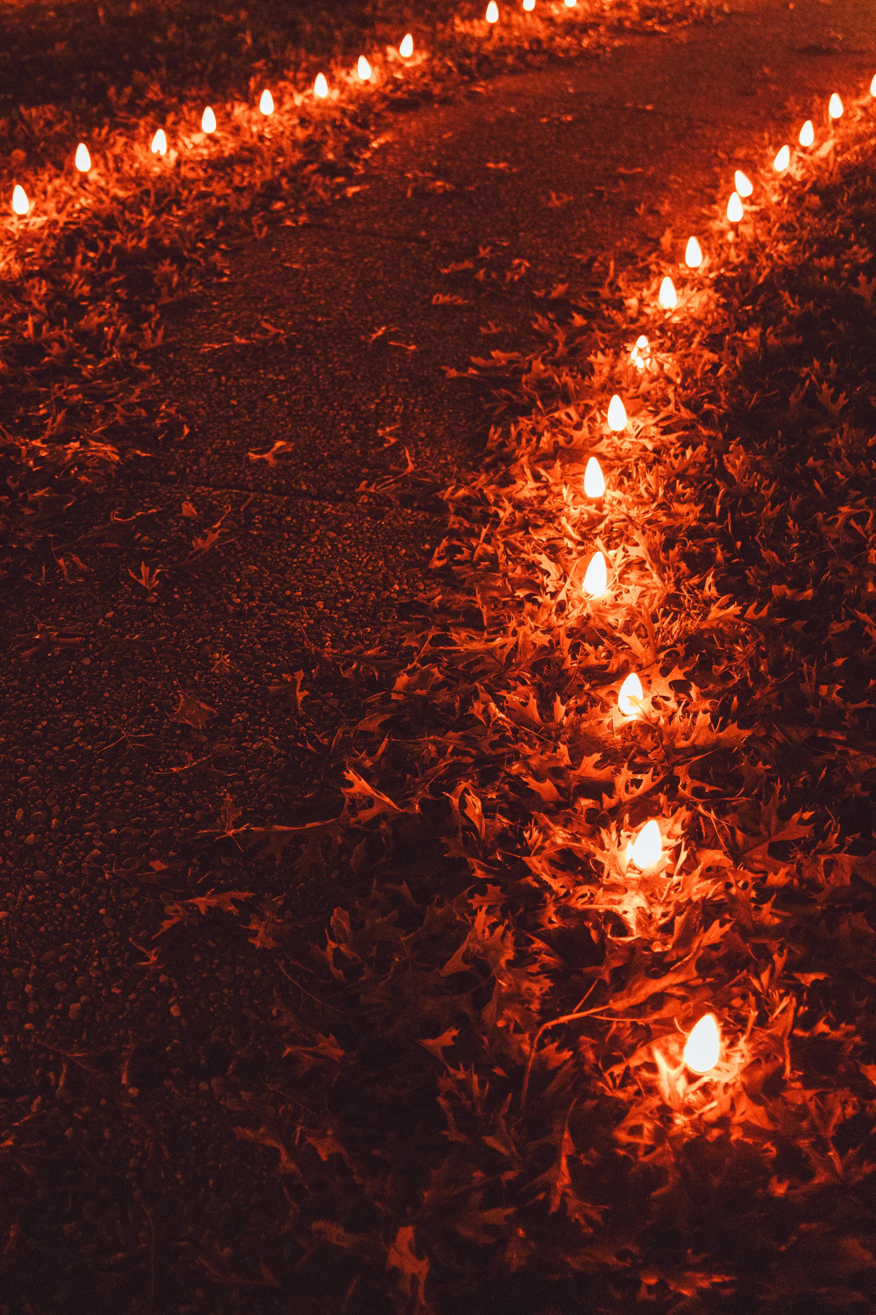 The image shows a path lined with small red lights. The lights are placed on the ground, illuminating the surrounding area with a warm glow. Fallen leaves are scattered around, suggesting an autumn setting.