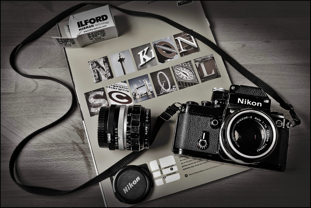 header profile