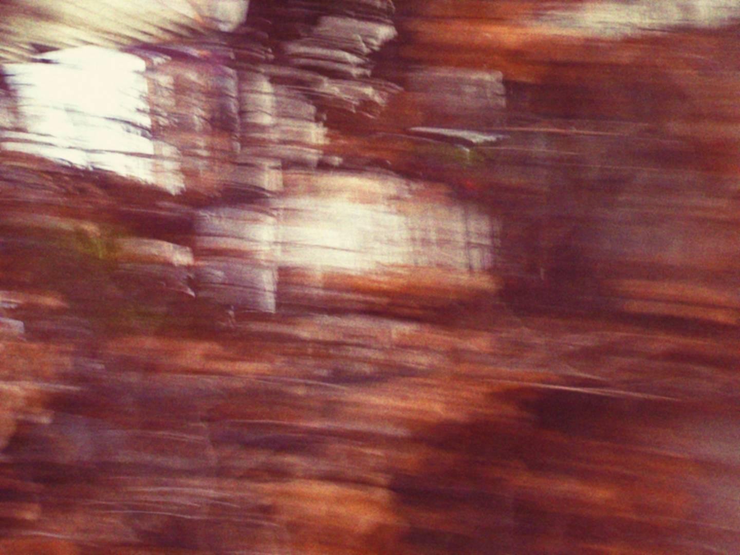 Foto mossa di vegetazione secca indistinguibile.