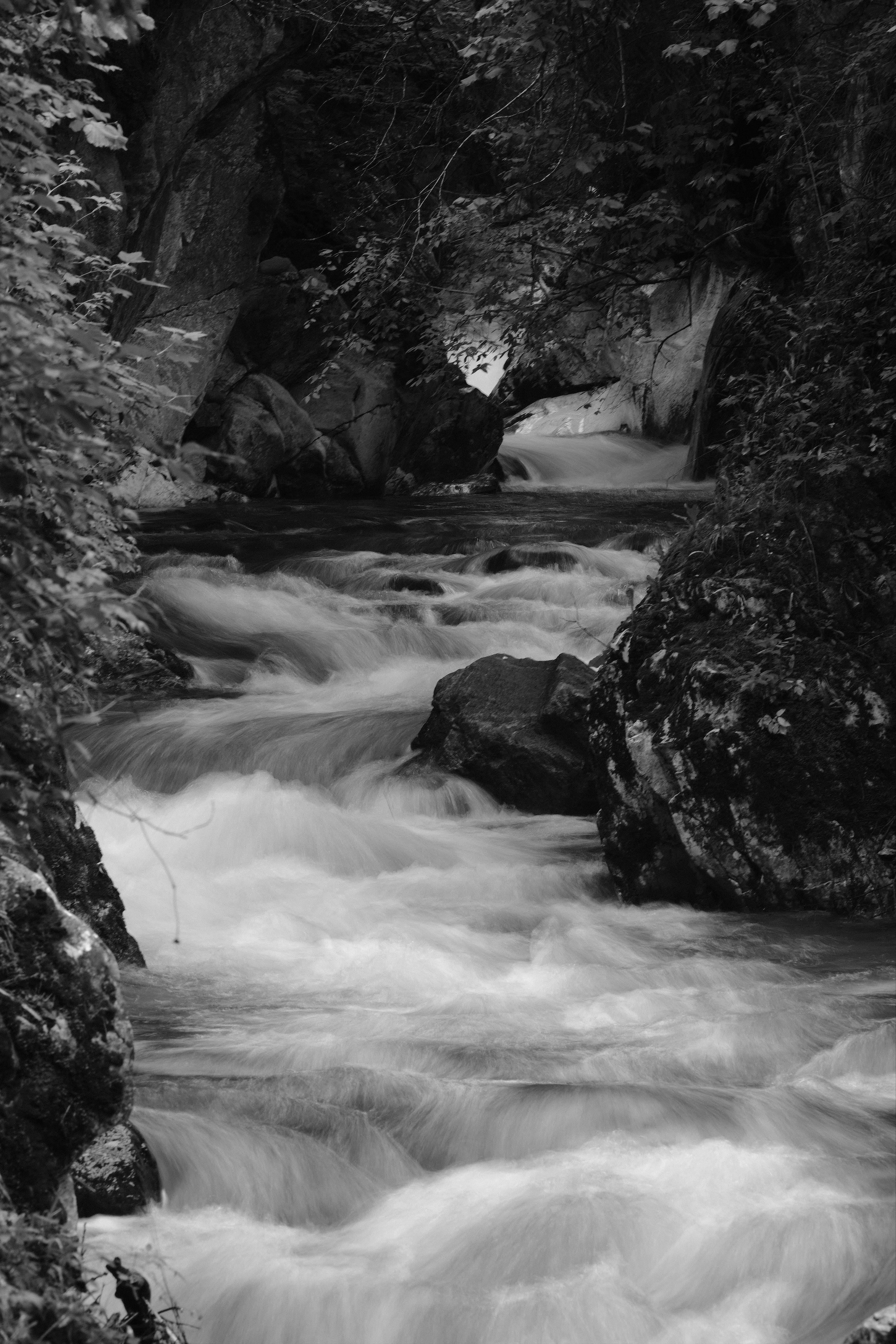 Black and white monochrome photograph. A stream, roughly 1-2m wide flowing in several curves towards the camera. The sides are lined with rocks, bushes and trees.
The water is rather wildly flowing over a rocky river bed with many natural steps.
Due to the relatively long exposure, the wild water is somewhat smoothed.