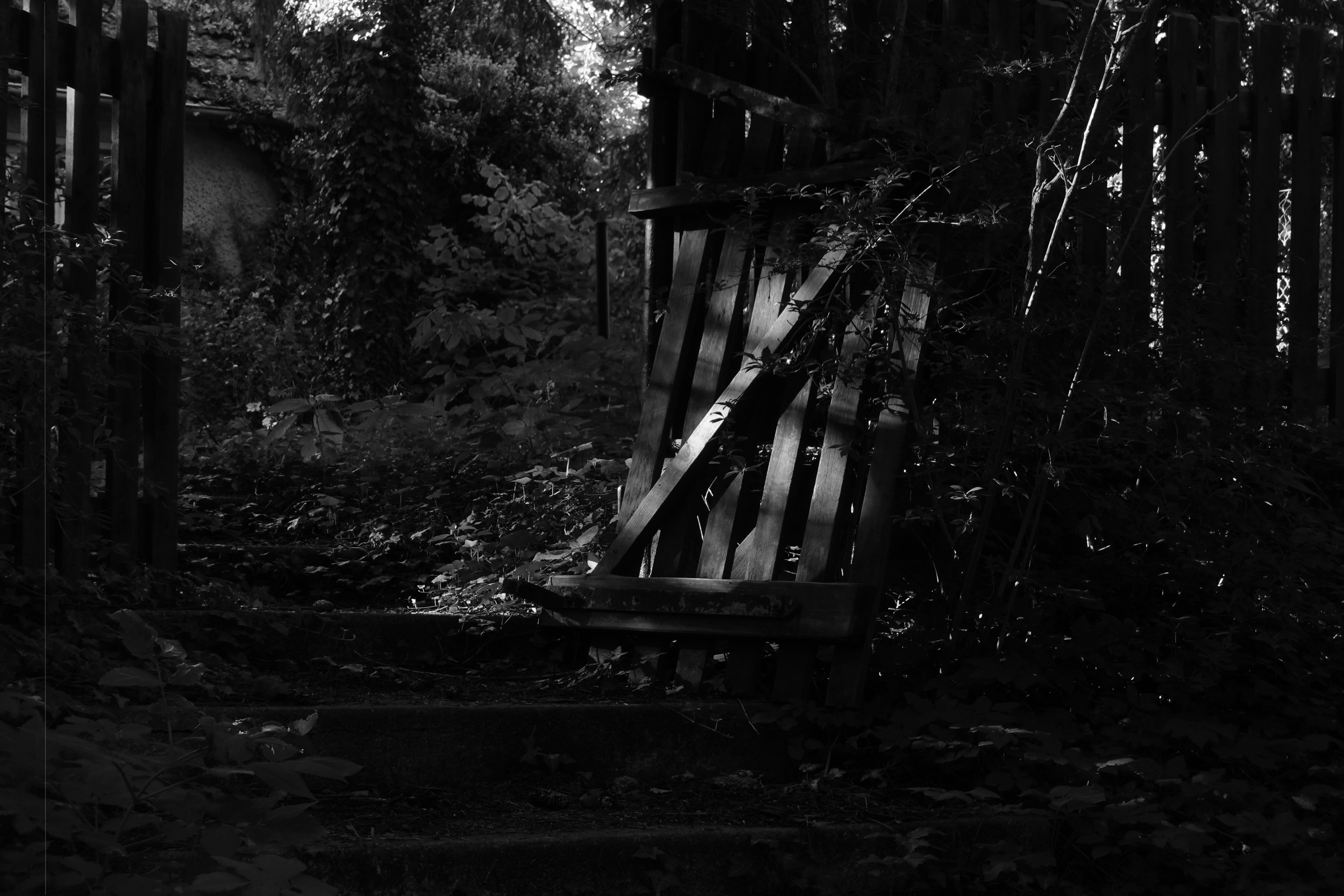 Dark, overgrown garden pathway featuring a broken wooden gate leaning against a fence. Vegetation, including vines and shrubs, surrounds the area. Sunlight filters through, creating contrasting highlights and shadows across the scene. Steps lead up to the gate, and a partially visible building is in the background.