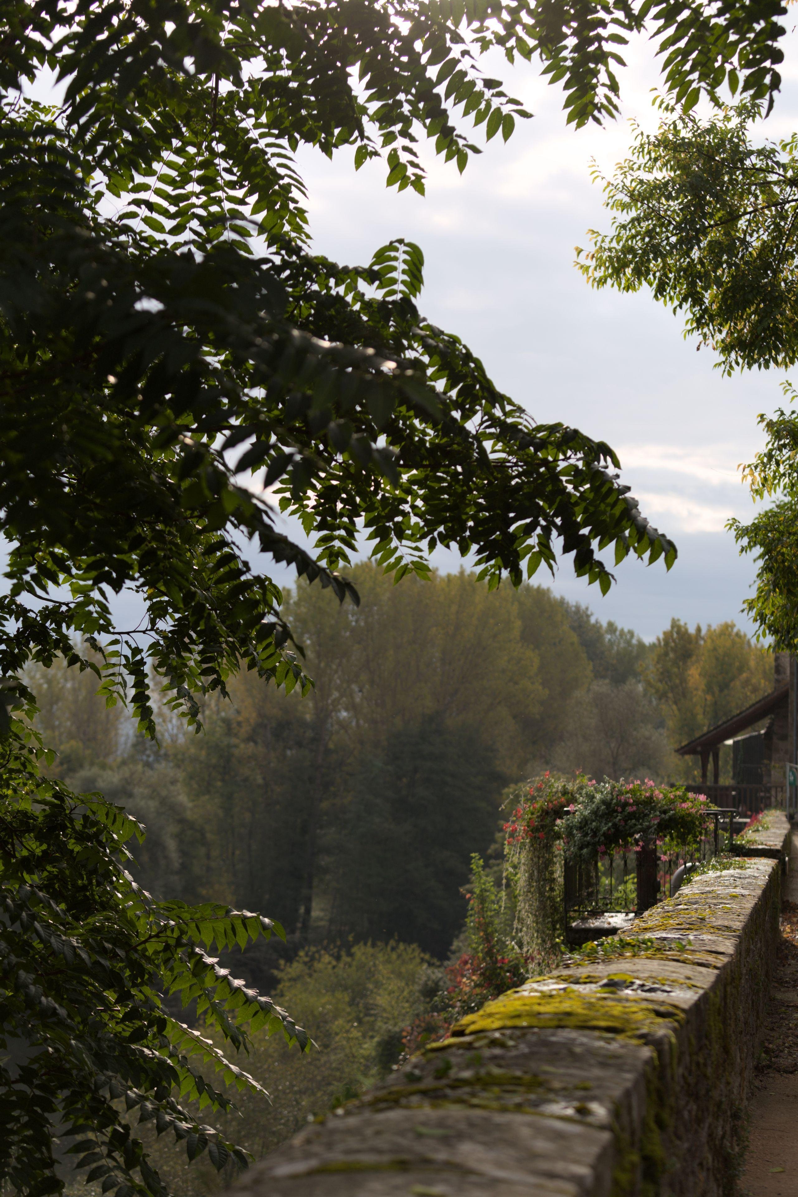 Stone wall covered with moss and flower pots overlooking a lush green forest under a cloudy sky.