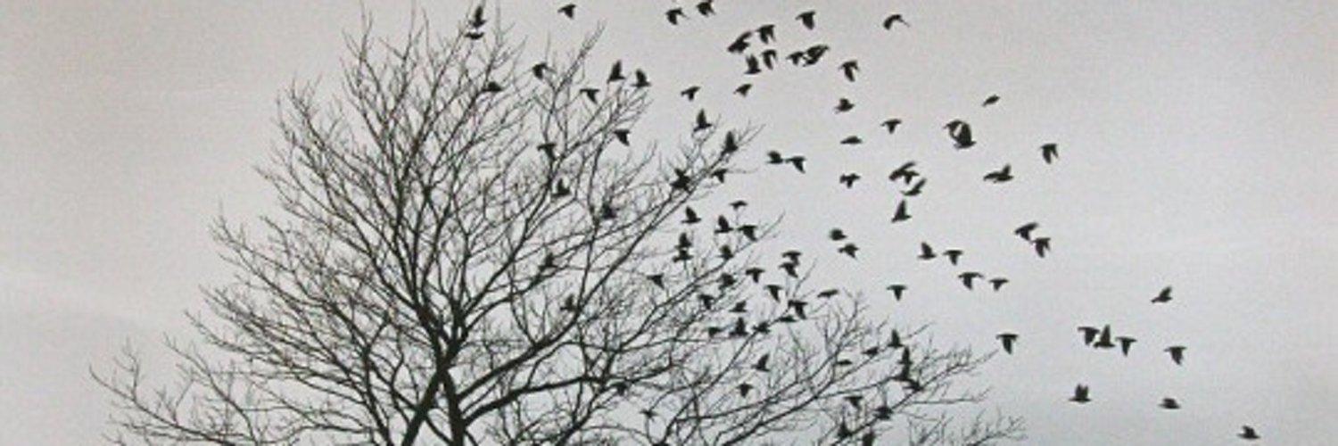 header profile
