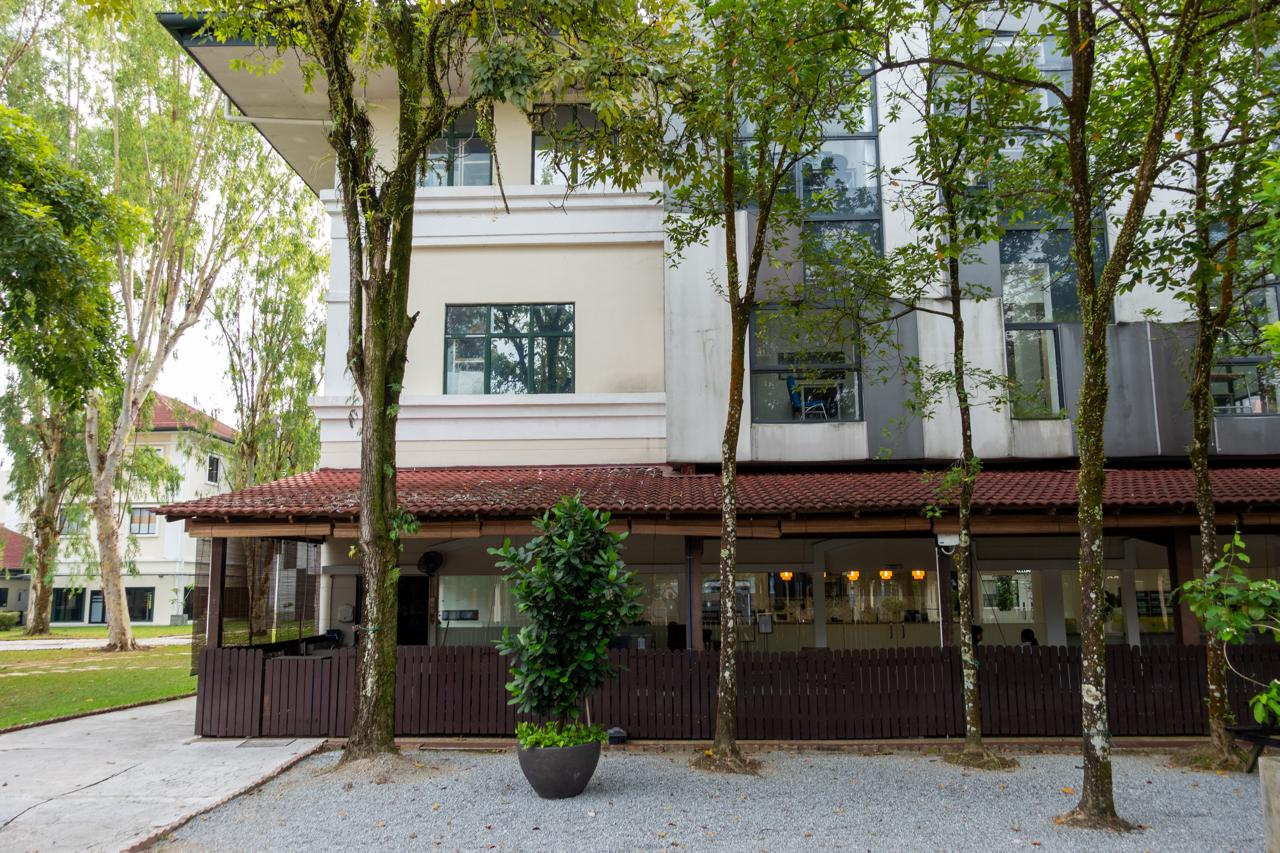 Three-story building with white and gray exterior, large windows, and a red-tiled roof. Front area has a brown wooden fence and potted plant. Several tall trees are in the foreground, and smaller buildings are visible in the background. Gravel pathway leads to the entrance.