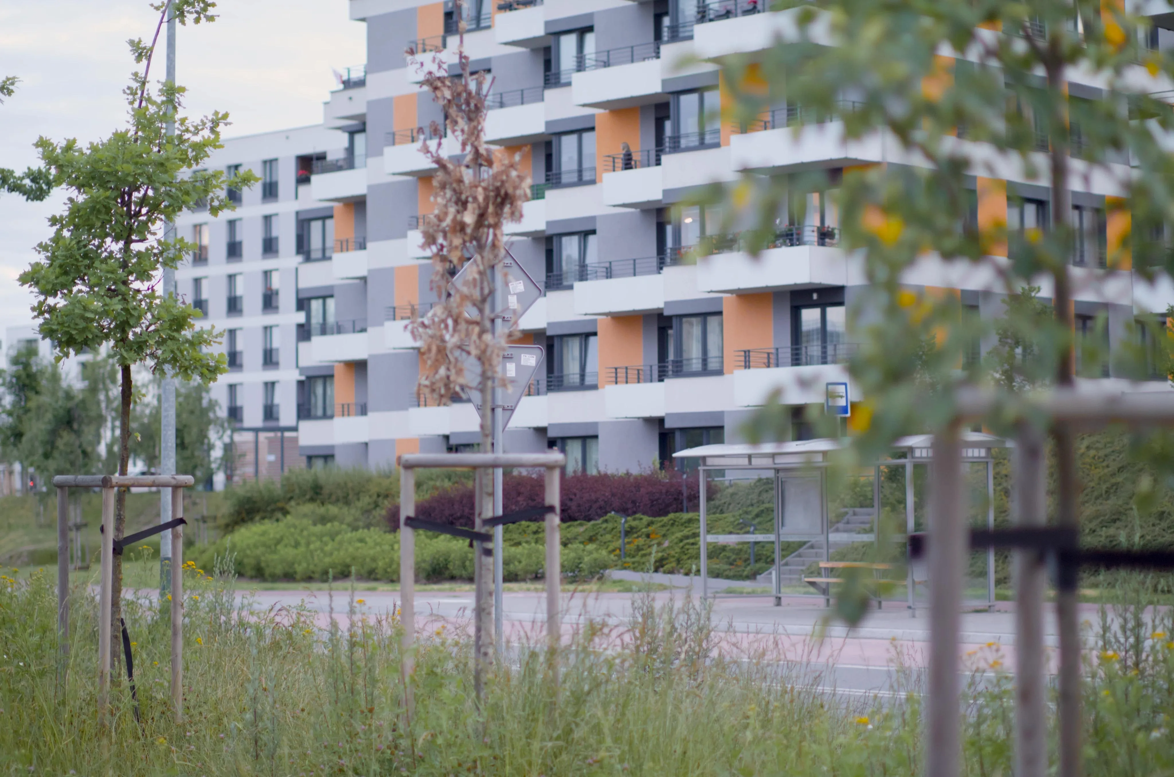 A horizontal photo of a building with three small tree saplings in front of it.