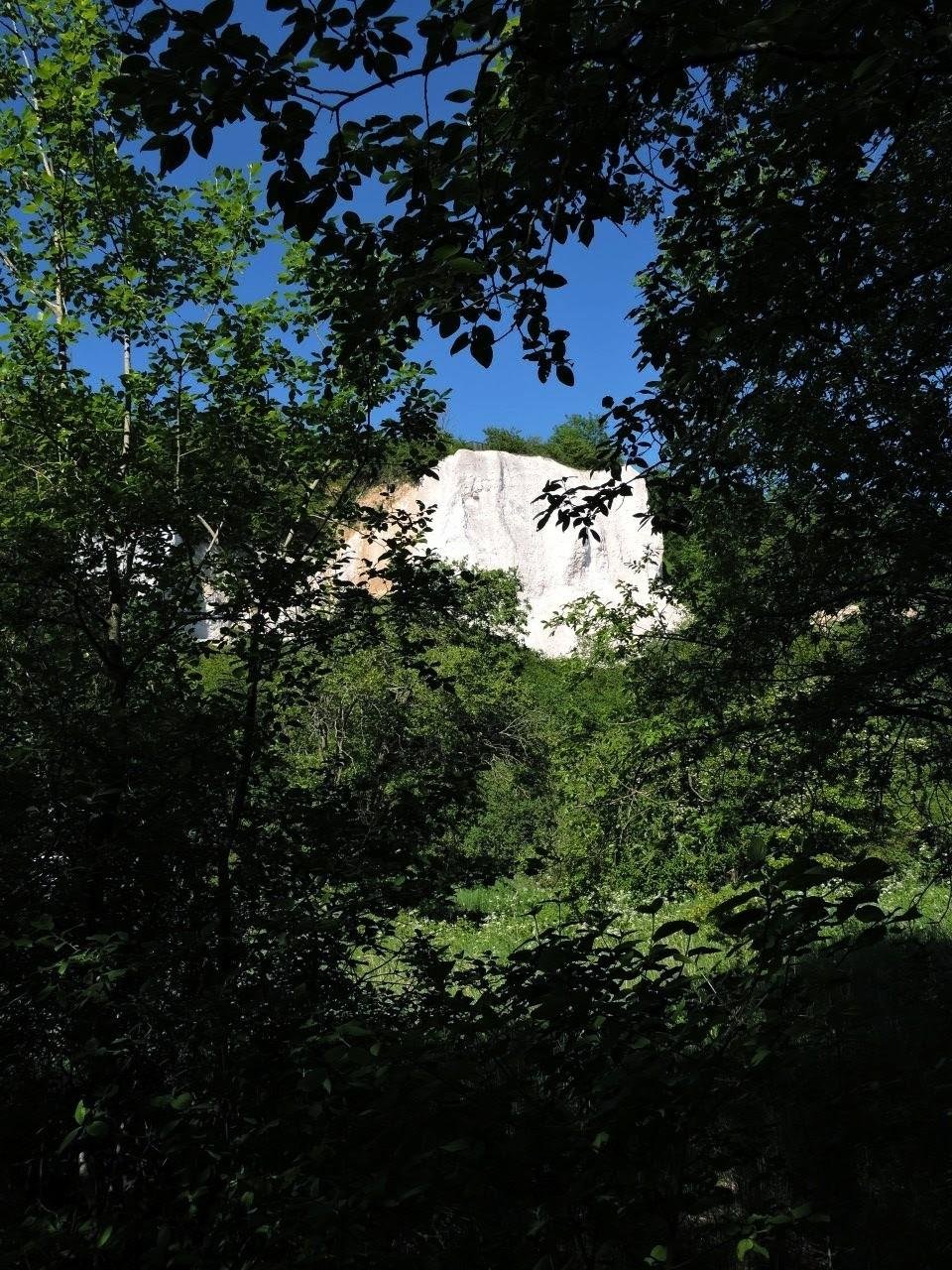Lush green trees in the foreground frame a distant white cliff under a clear blue sky. Shadows of leaves and branches create a natural arch in the top half of the image, with sunlight illuminating patches of vegetation below.