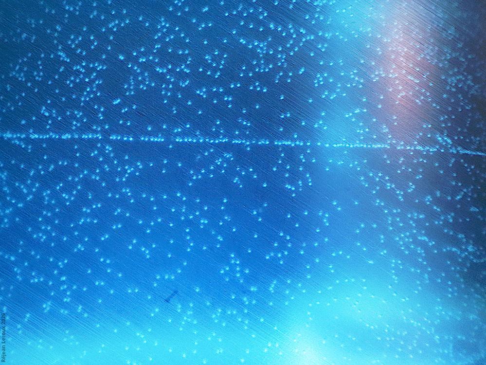 header profile
