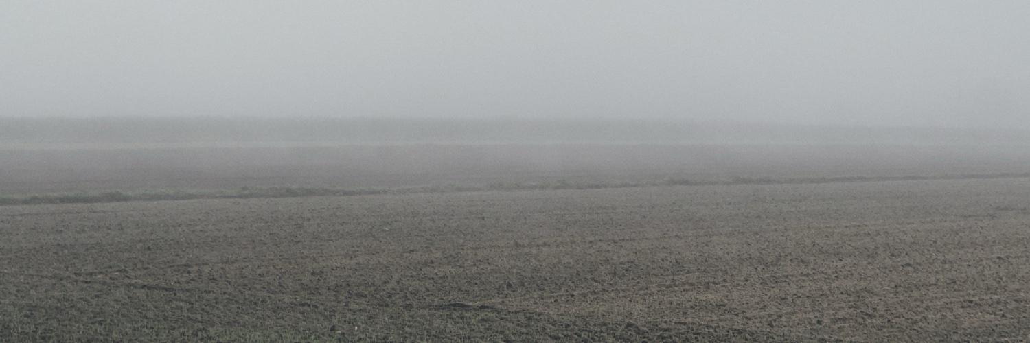 header profile