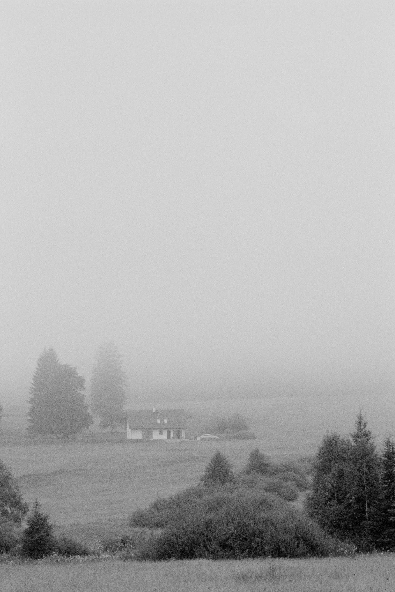 Small farmhouse with a dark gabled roof in the middle of an open field, partially obscured by heavy fog, with scattered trees and shrubs in the foreground and background.