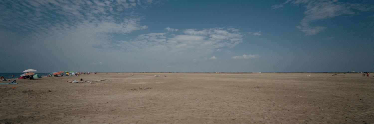 header profile