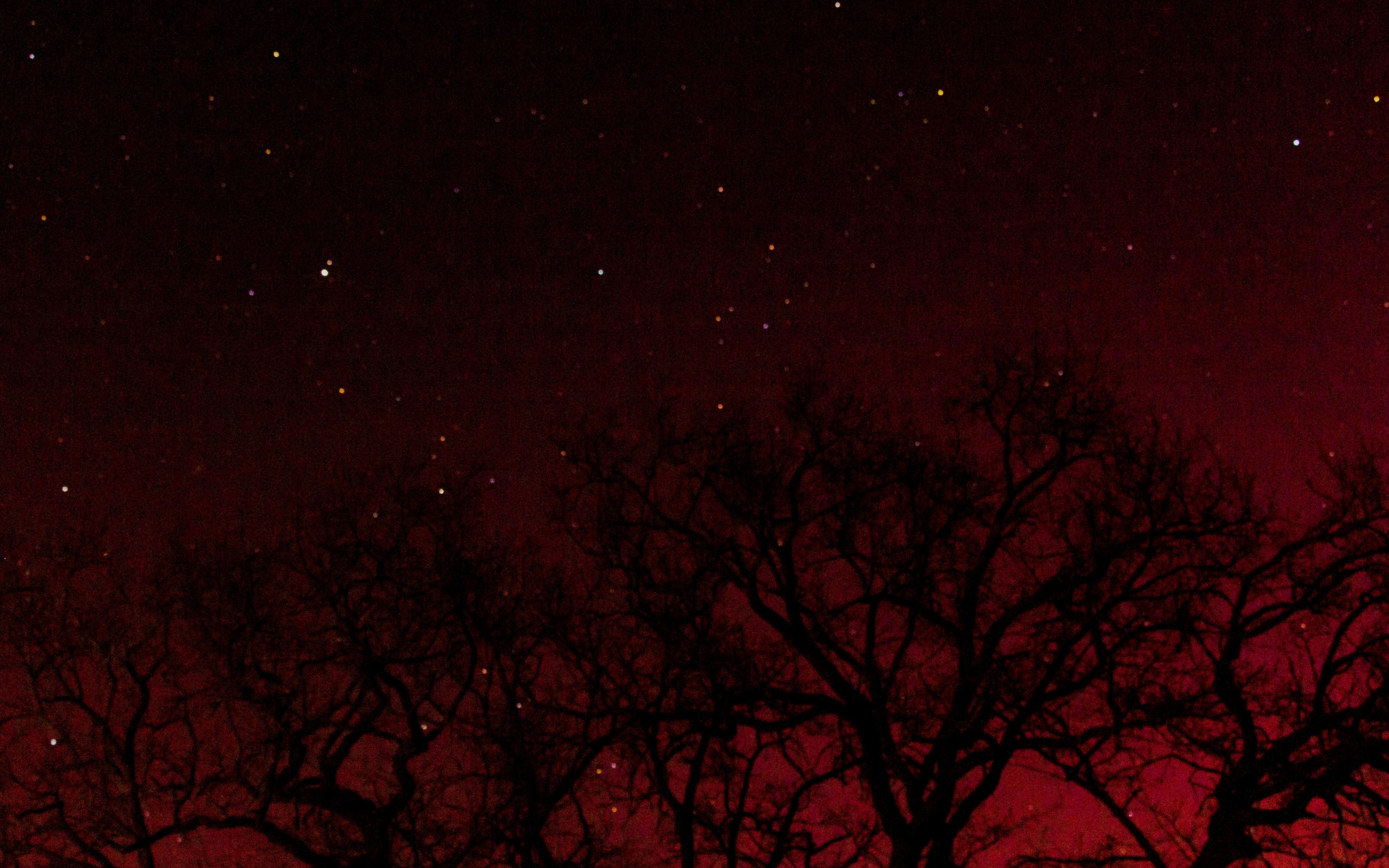 Silhouetted leafless tree branches along the bottom edge against a red-tinted night sky filled with scattered stars.
